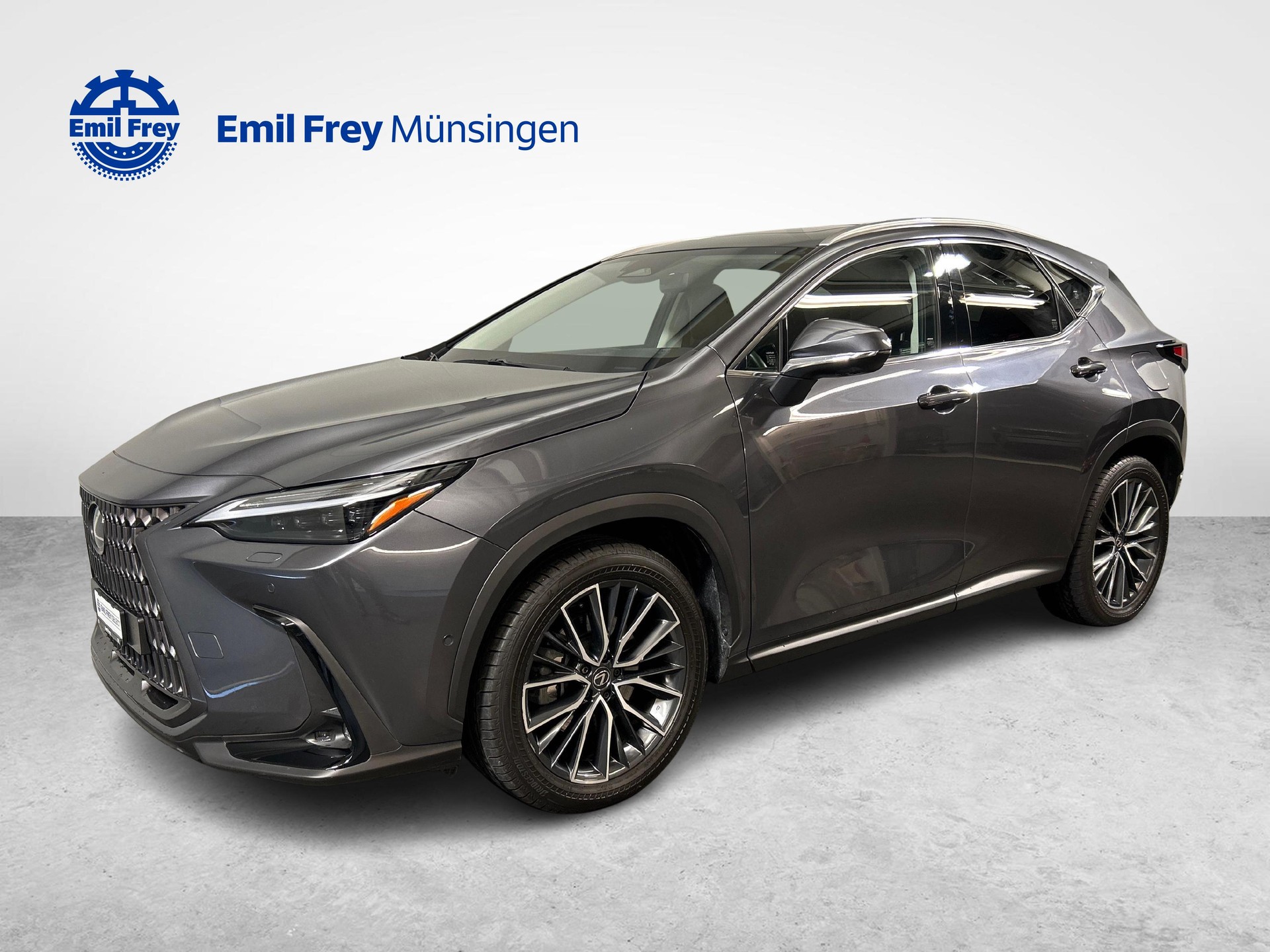 LEXUS NX 450h+ Excellence-showroom-element-2