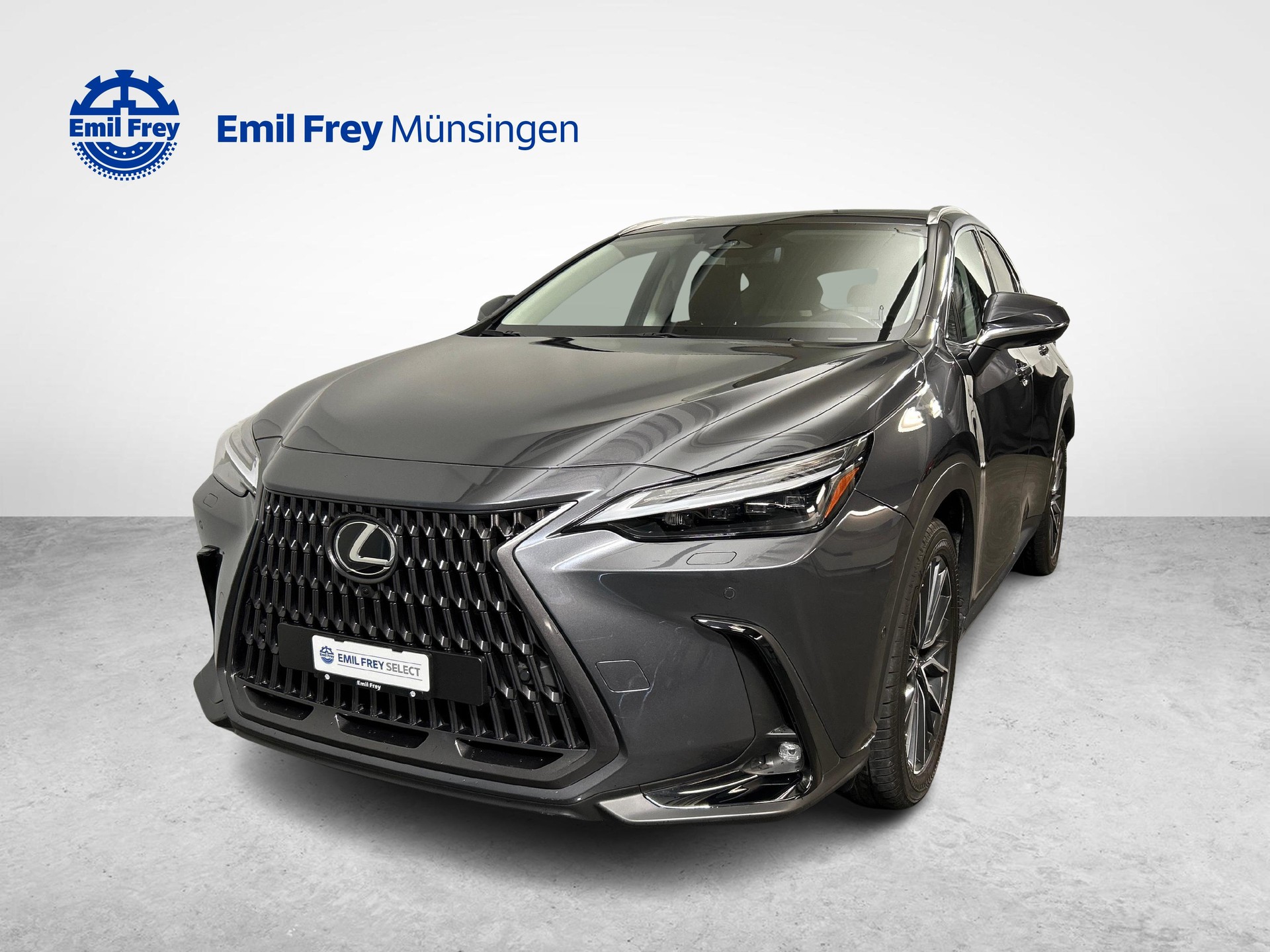 LEXUS NX 450h+ Excellence