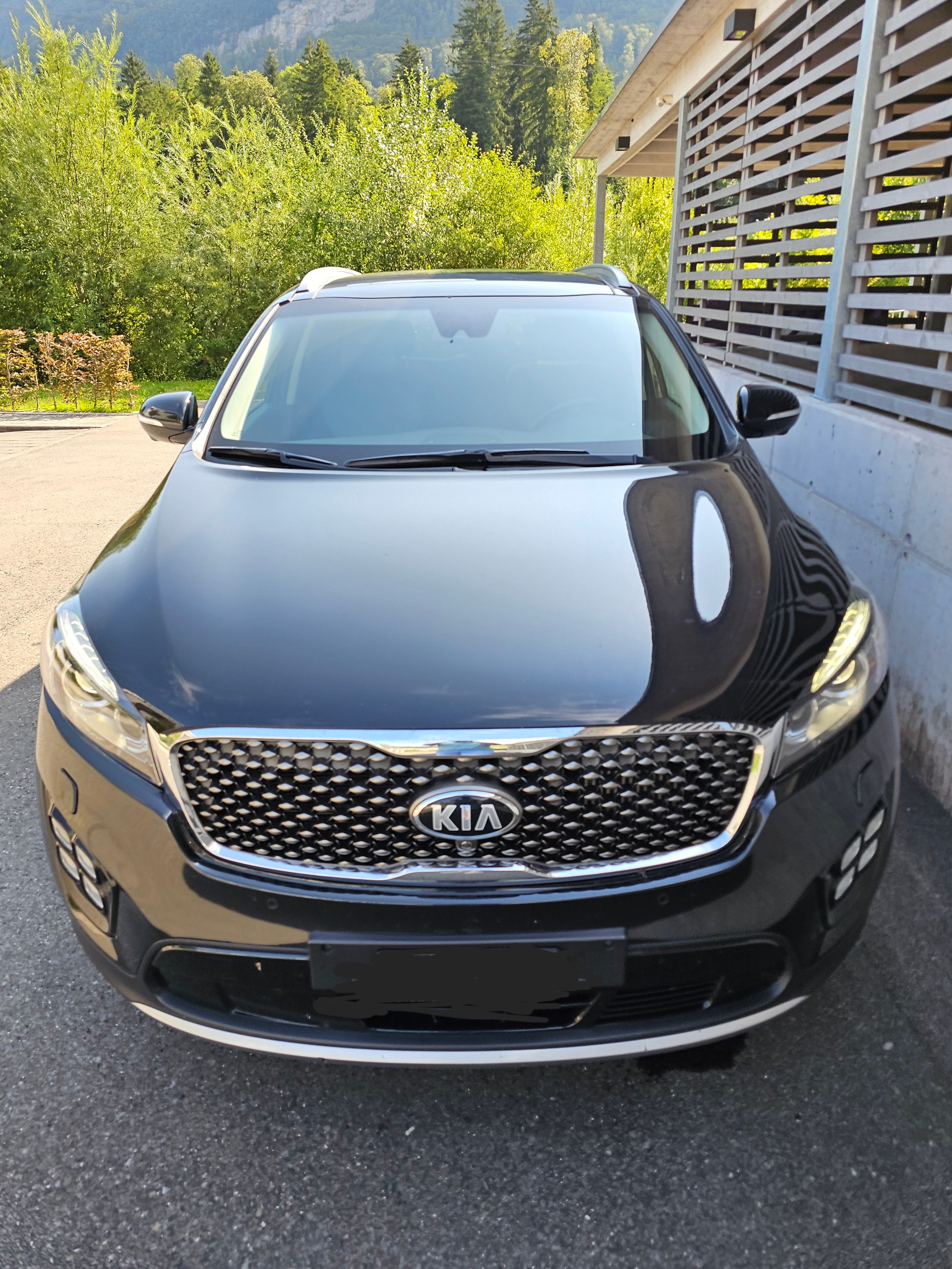 KIA 2.2 CRDi Style-image-2