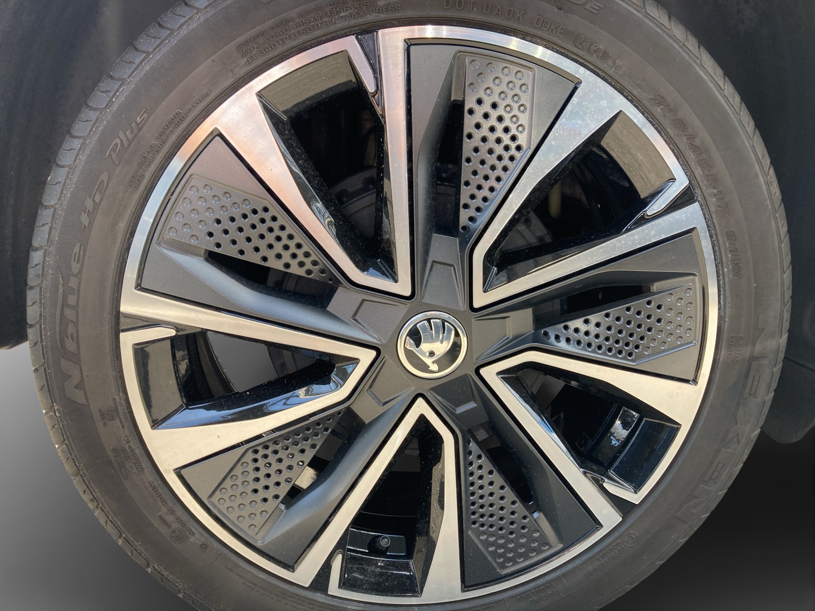 SKODA Fabia 1.0 TSI Style DSG-image-15