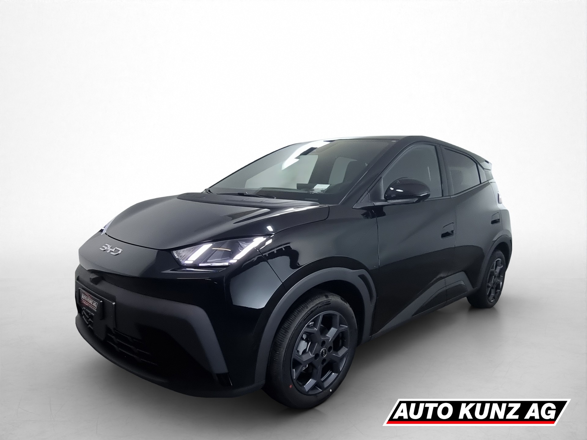 BYD Dolphin Surf 43kWh Comfort-image-0