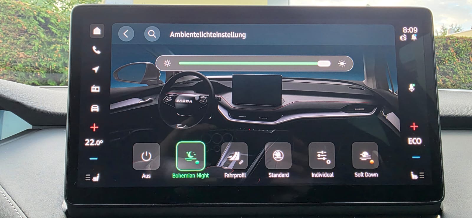SKODA Enyaq 85x Sportline 4x4-image-17