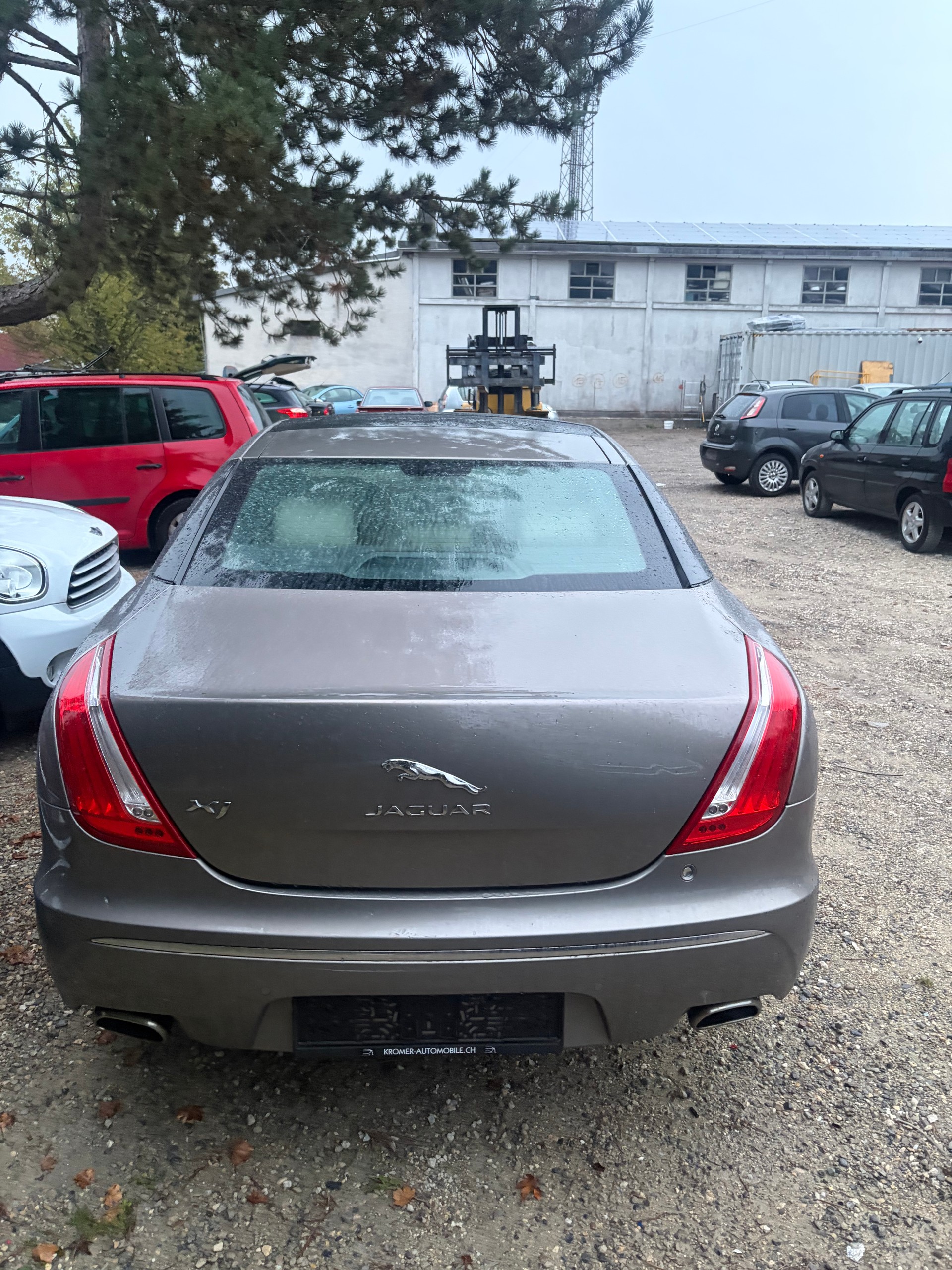 JAGUAR XJ 3.0V6 Portfolio Automatic-image-7