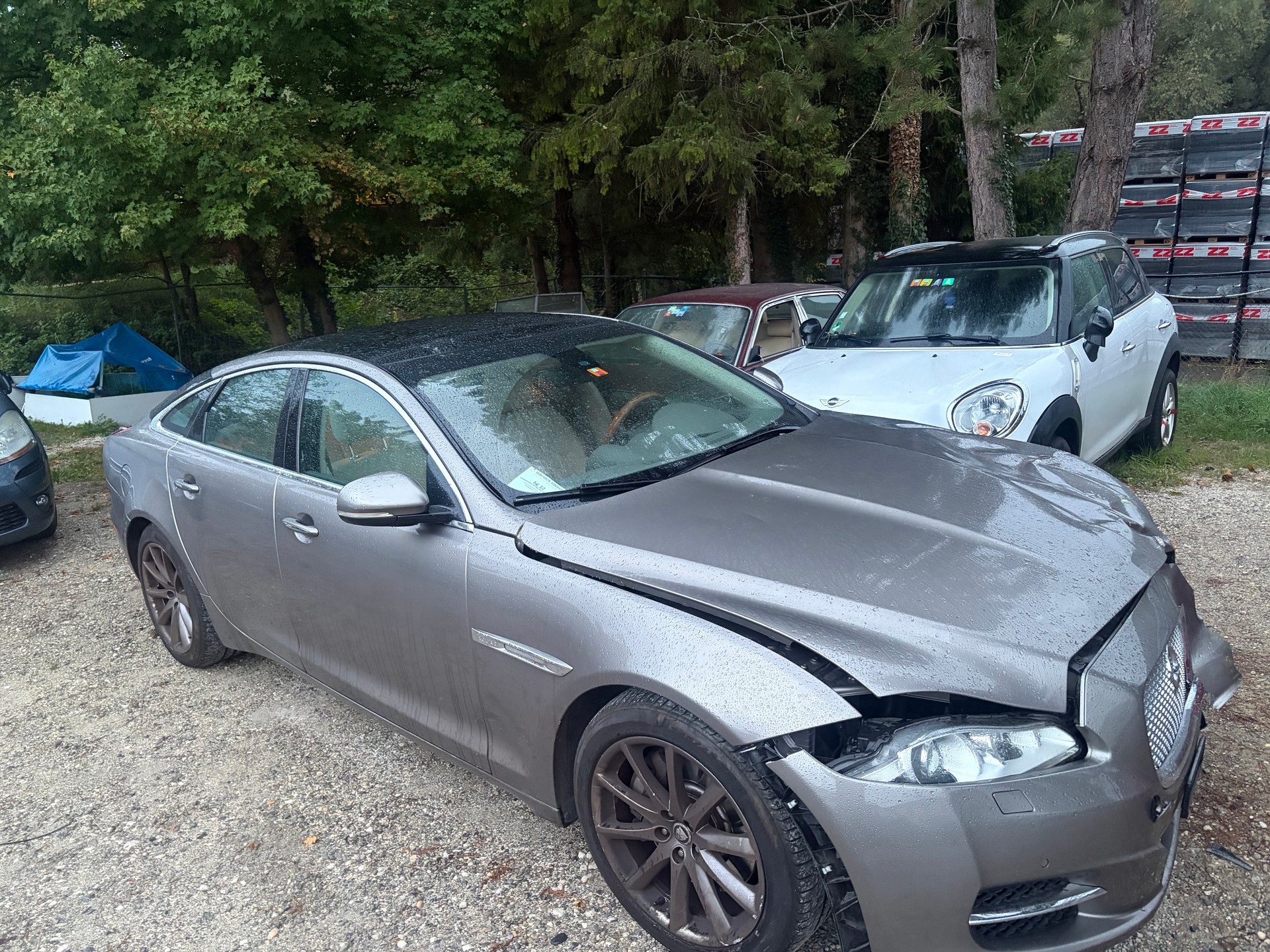 JAGUAR XJ 3.0V6 Portfolio Automatic-image-1