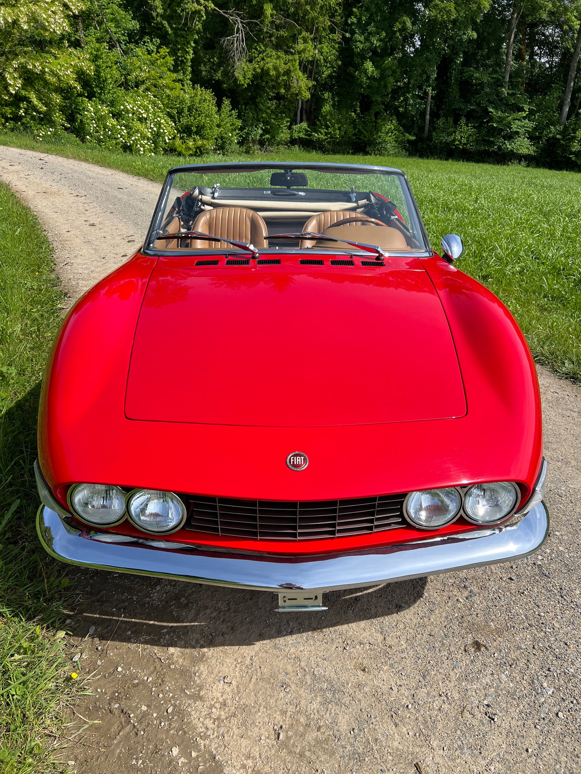 FIAT DINO Spider-image-2
