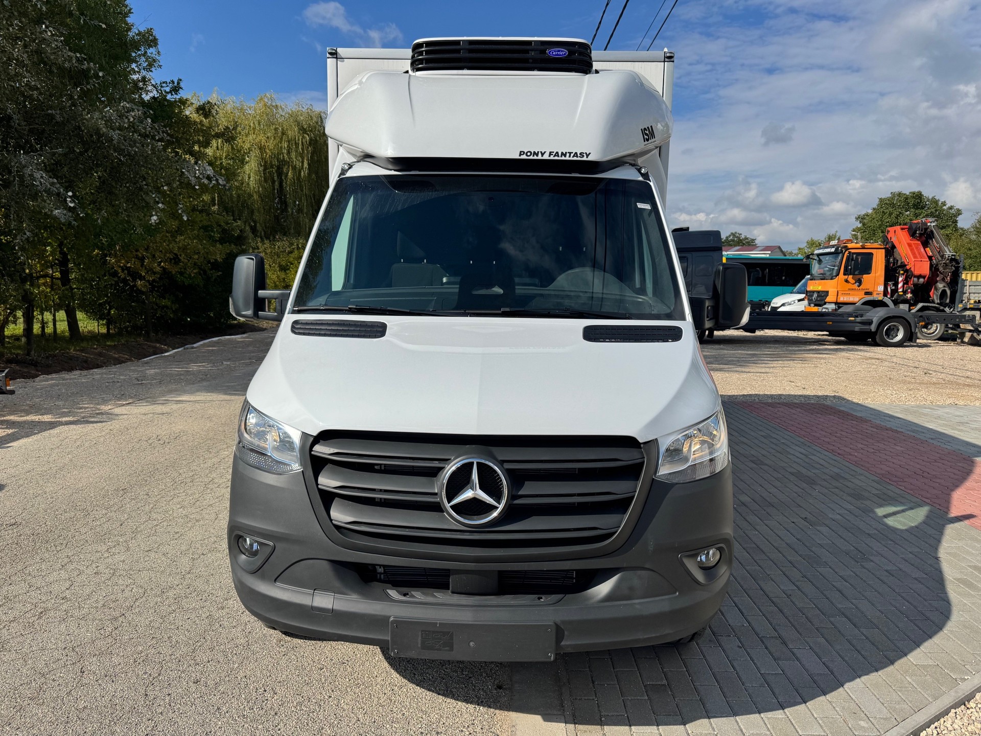 MERCEDES-BENZ 317 CDI Automat mit Kühlkoffer Minus 20 Grad und Ahk. 2000kg.-image-10