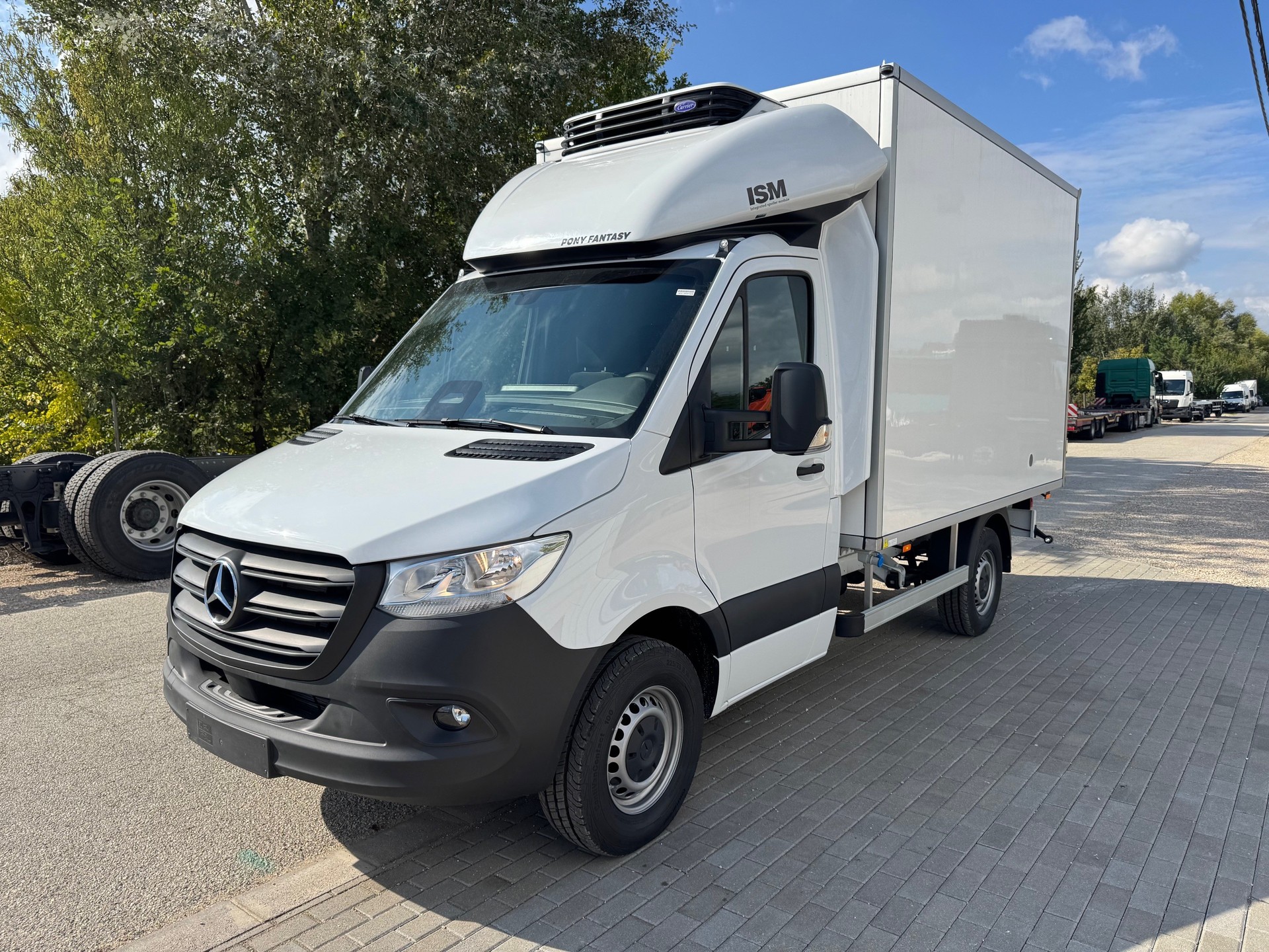 MERCEDES-BENZ 317 CDI Automat mit Kühlkoffer Minus 20 Grad und Ahk. 2000kg.-image-5