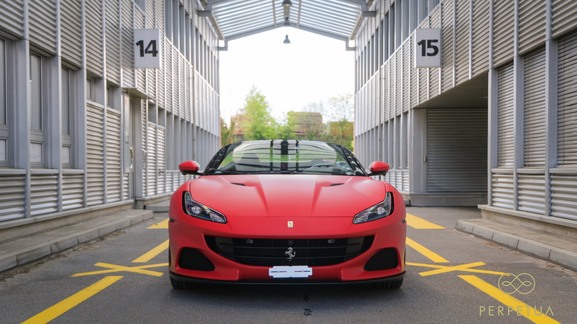 FERRARI M