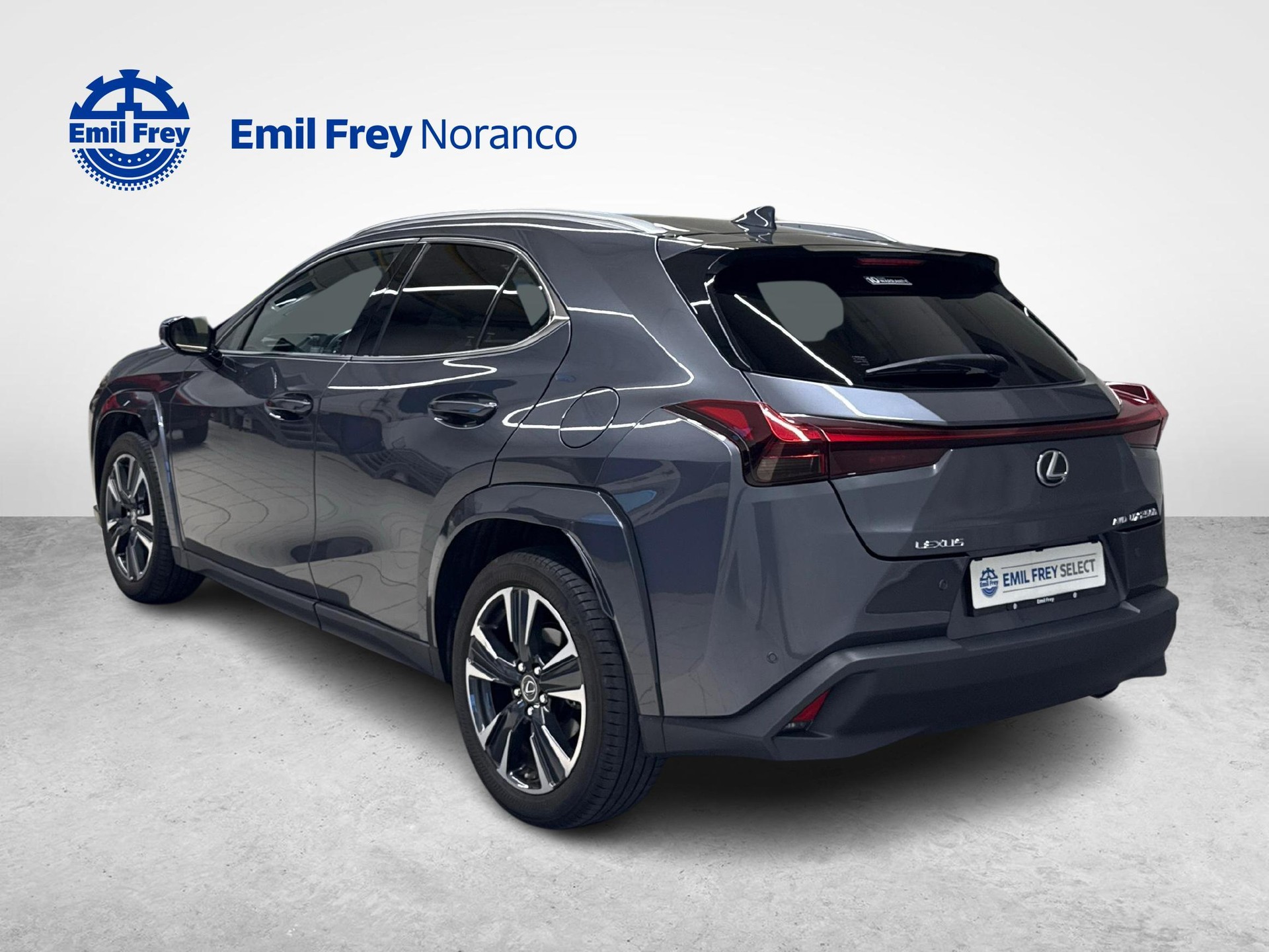 LEXUS UX 250h Excellence - Ruote invernali incluse-showroom-element-2
