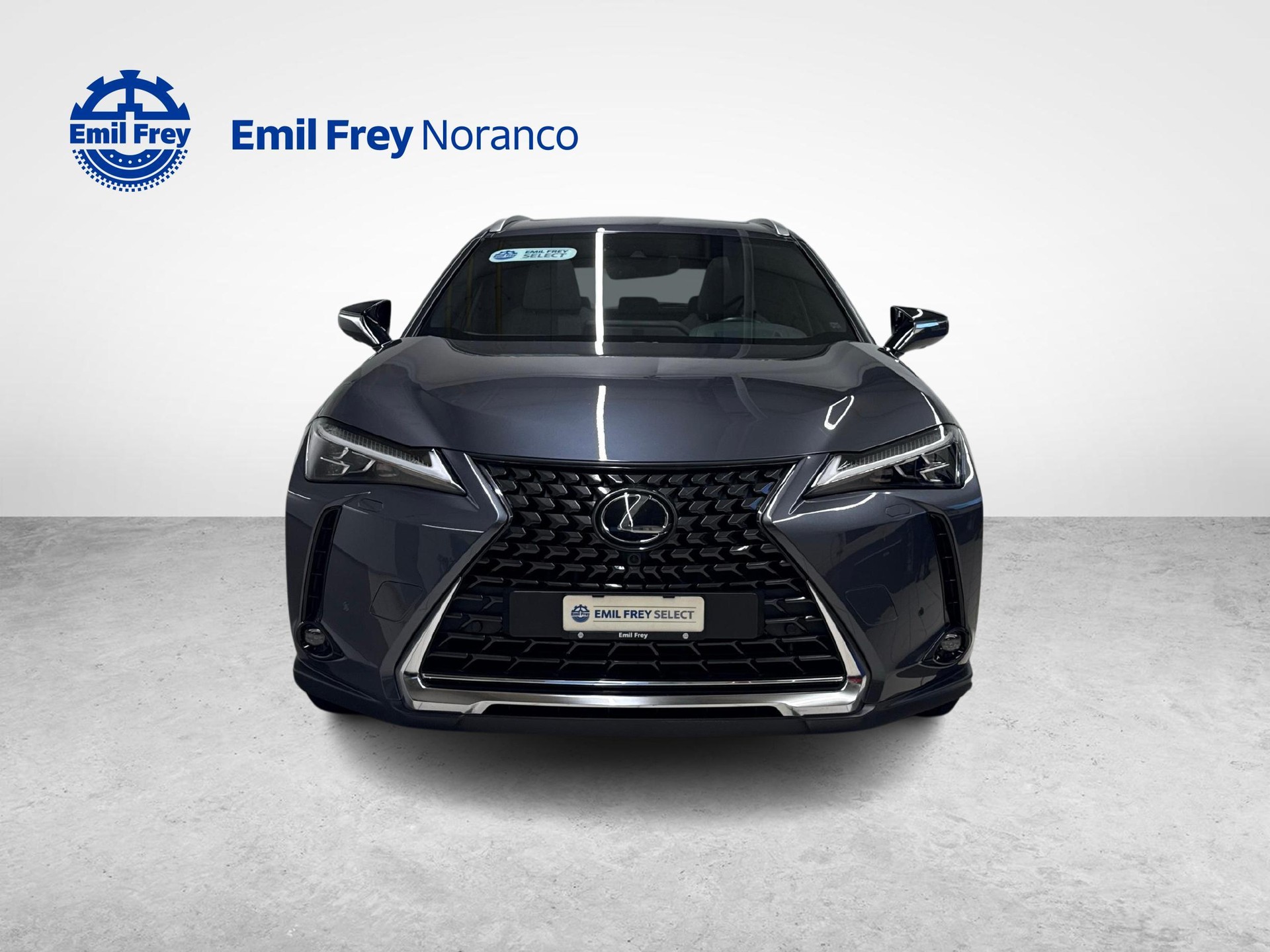 LEXUS UX 250h Excellence - Ruote invernali incluse-image-7