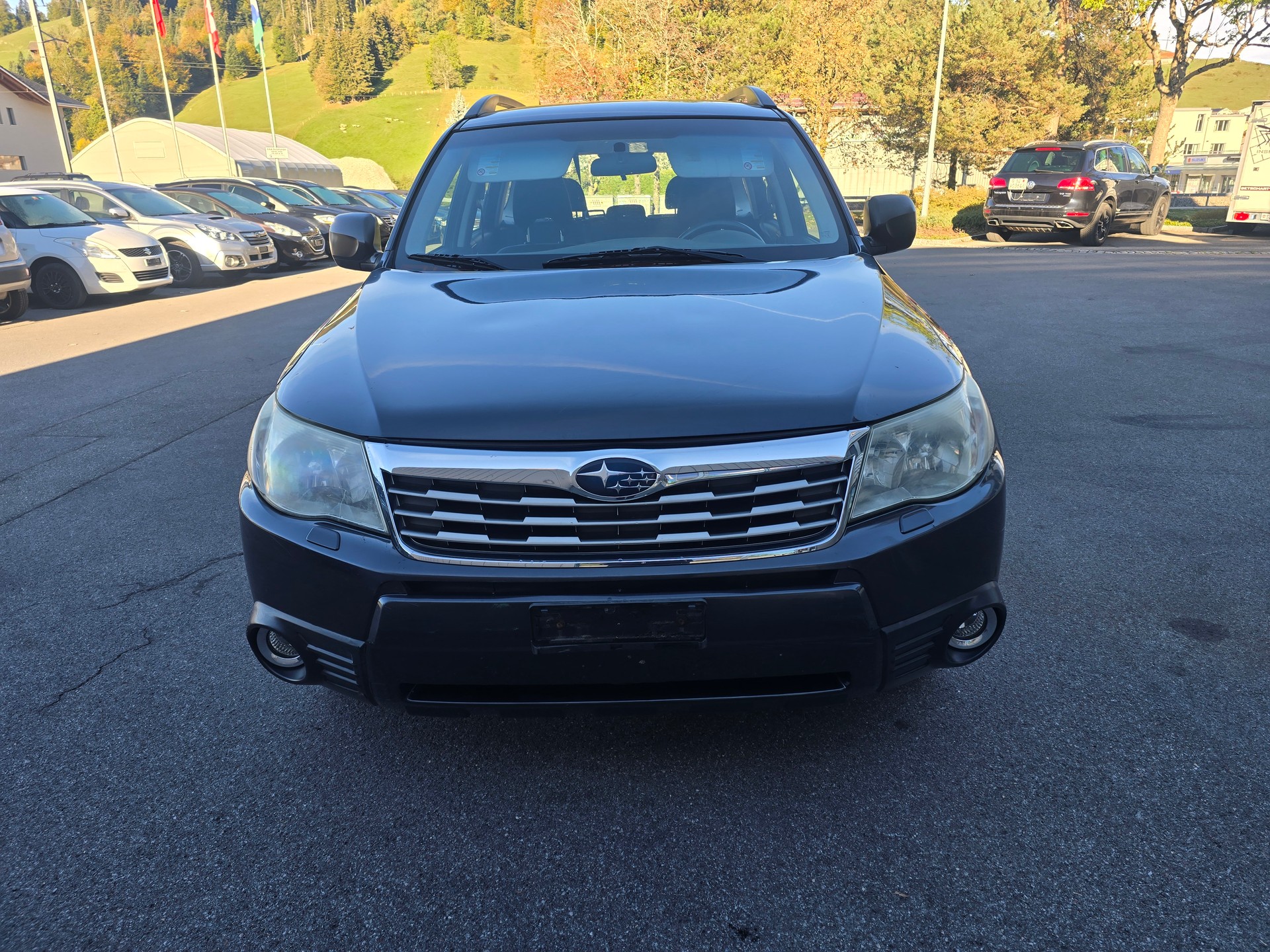 SUBARU Forester 2.0XS Comfort Celebration-image-1