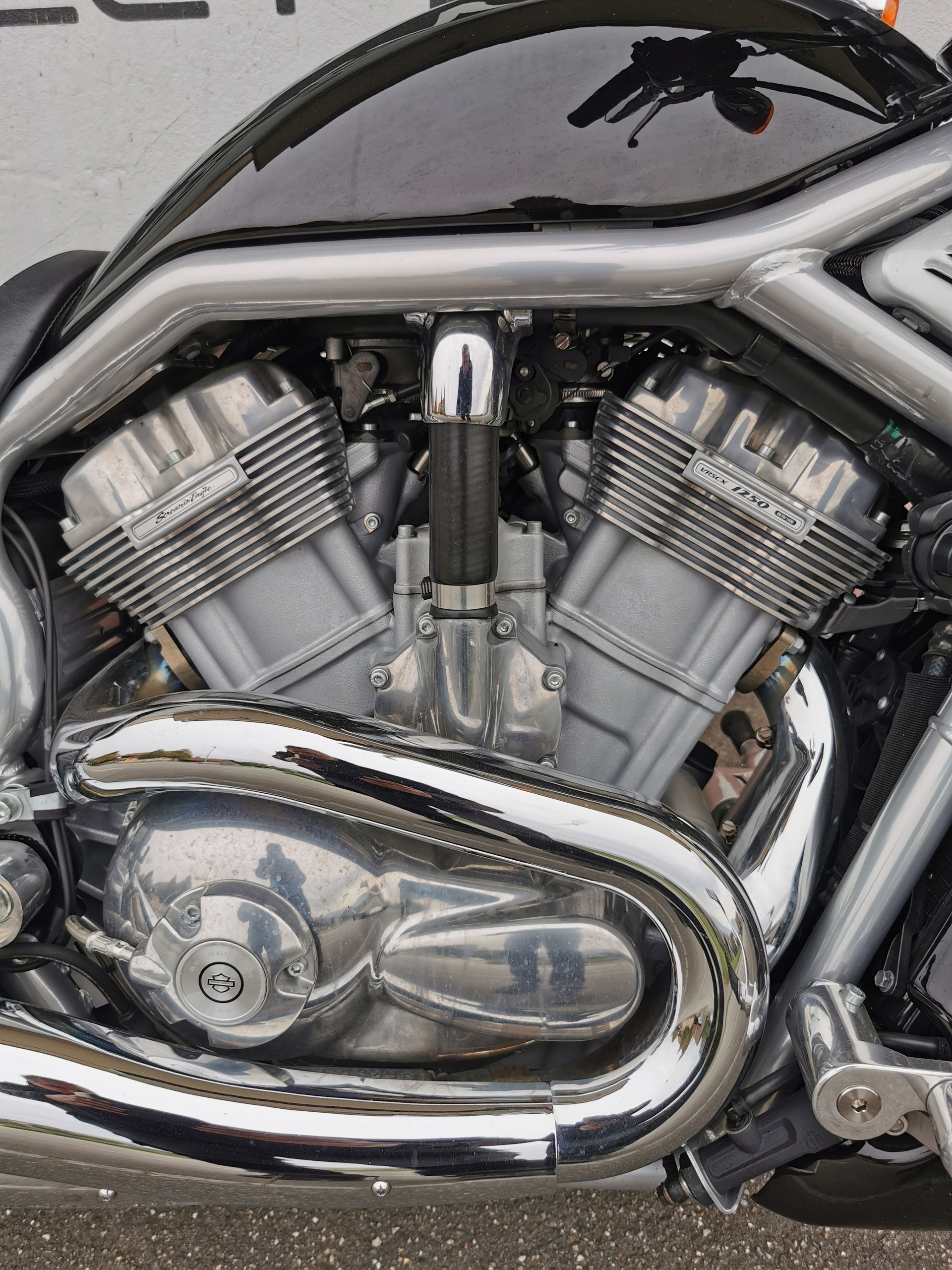HARLEY-DAVIDSON VRSCX V-Rod-image-2