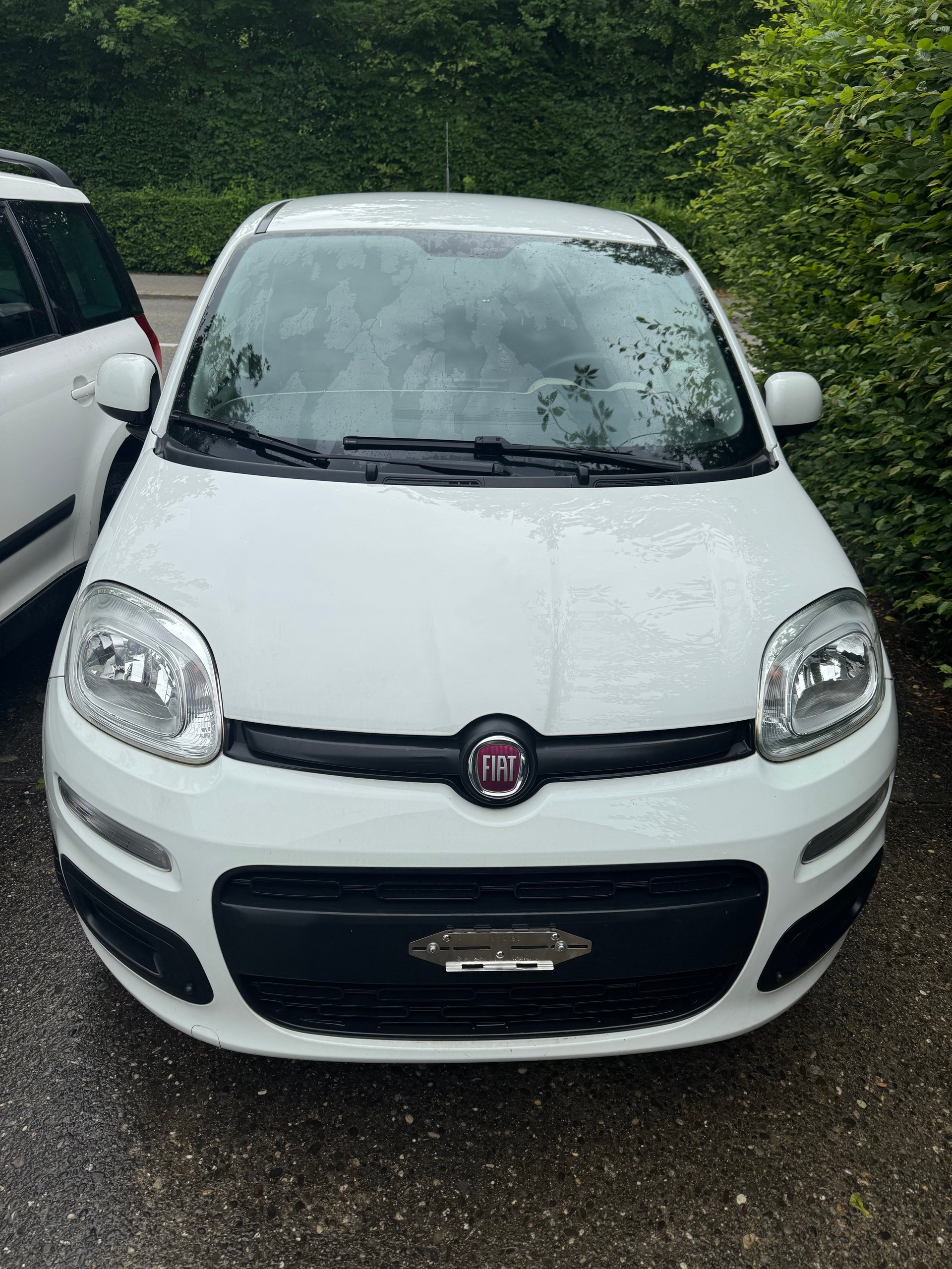 FIAT 0.9 T TwinAir NP Easy-image-1