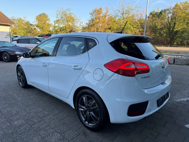 KIA Cee'd 1.0 T-GDi Swiss Champion-showroom-element-3
