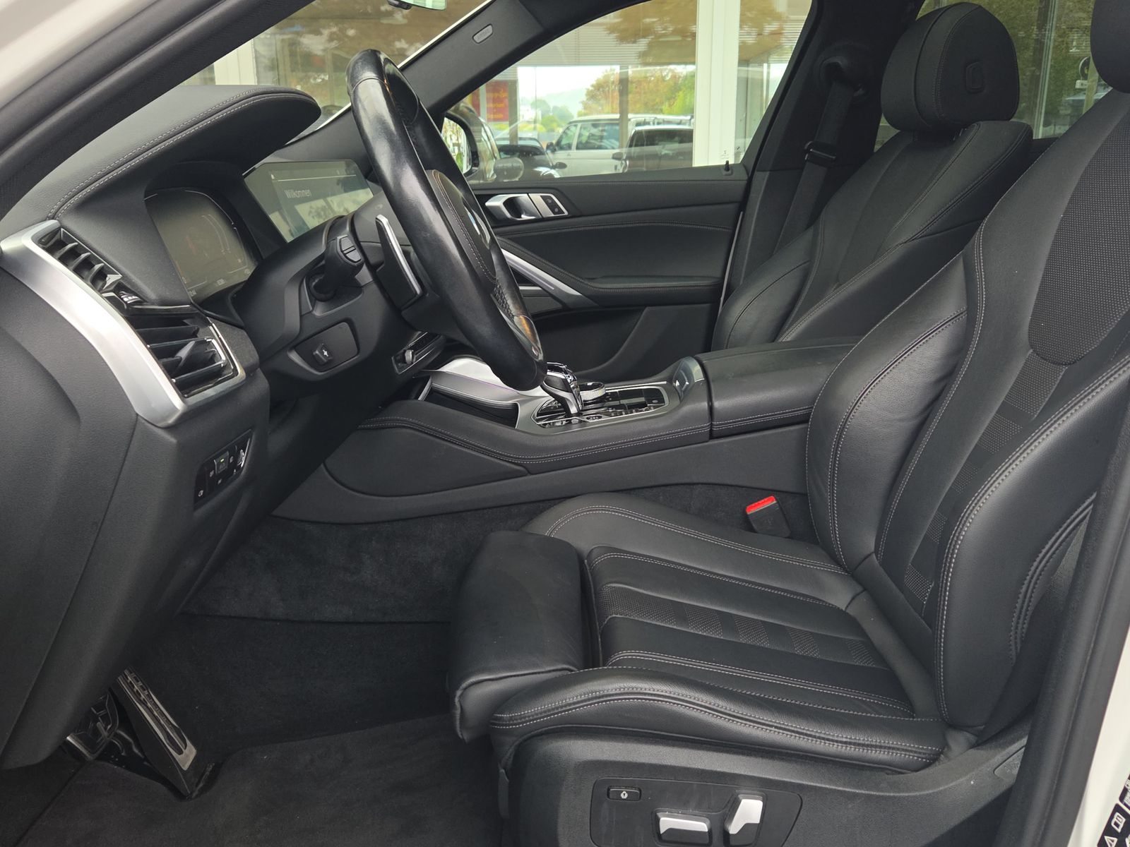 BMW X6 xDrive 48V 40d Steptronic-image-5