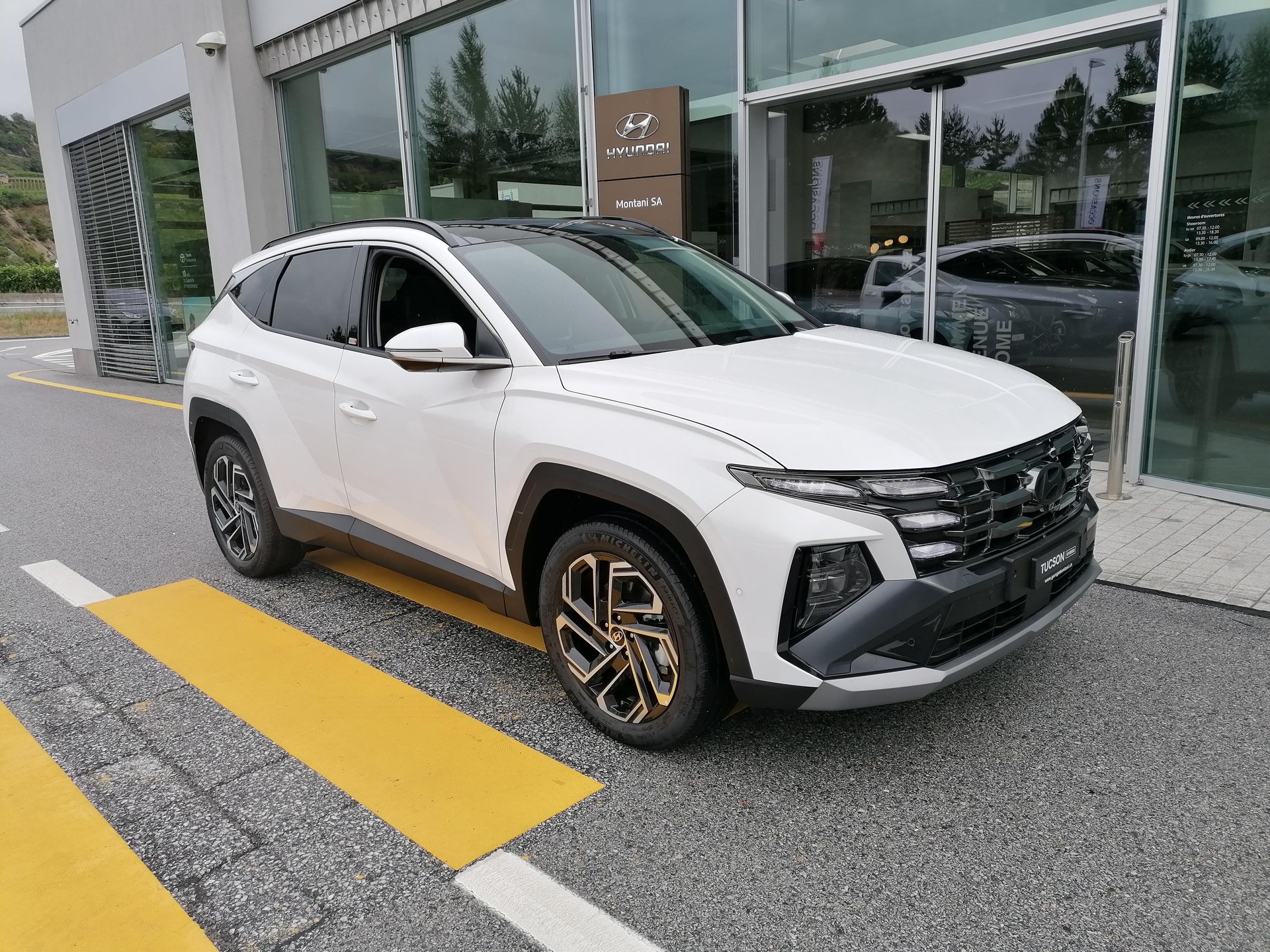 HYUNDAI Tucson 1.6 T-GDi HEV Vertex Swiss Edition 4WD-image-1