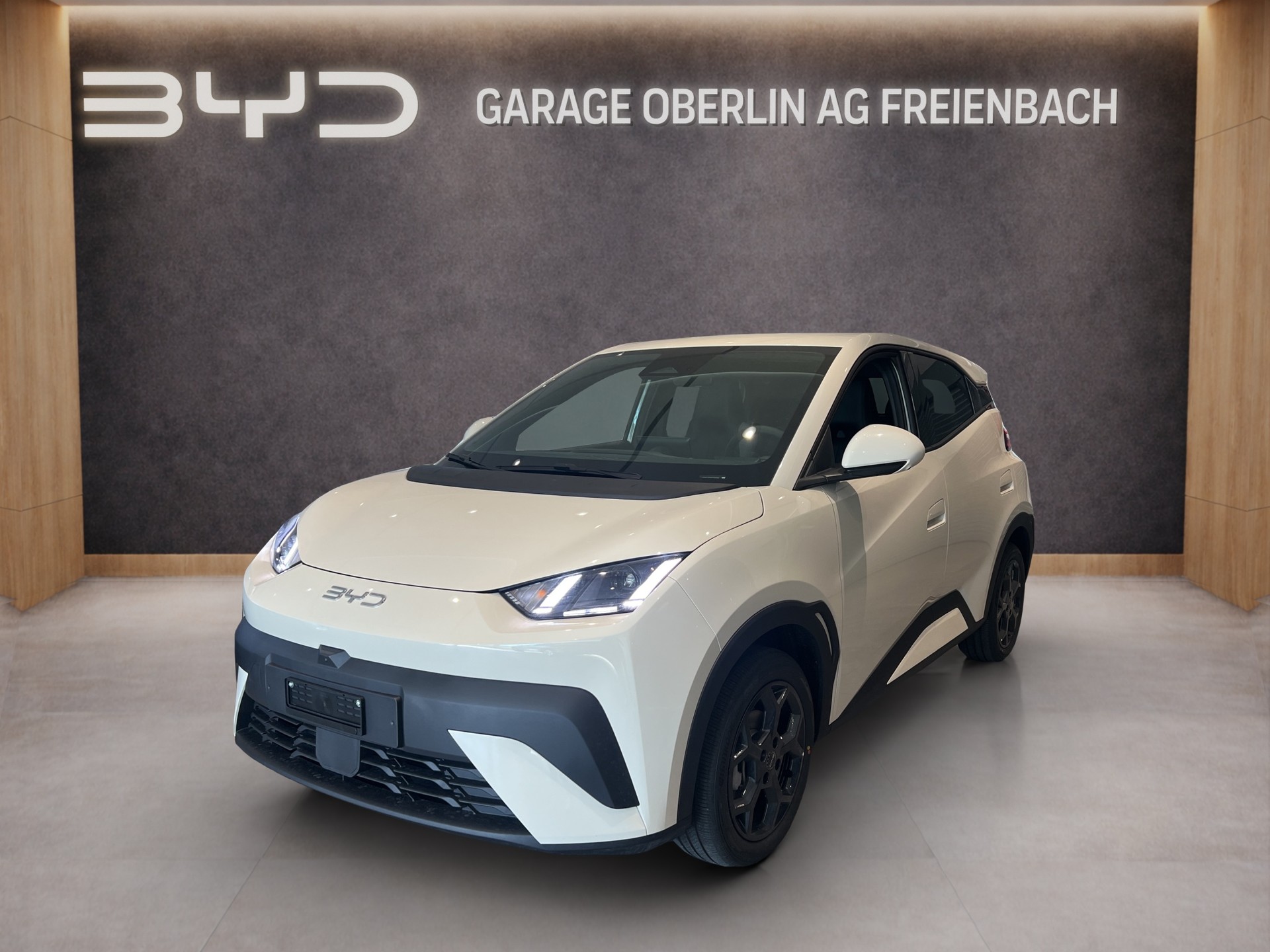 BYD Dolphin Surf Comfort-image-0