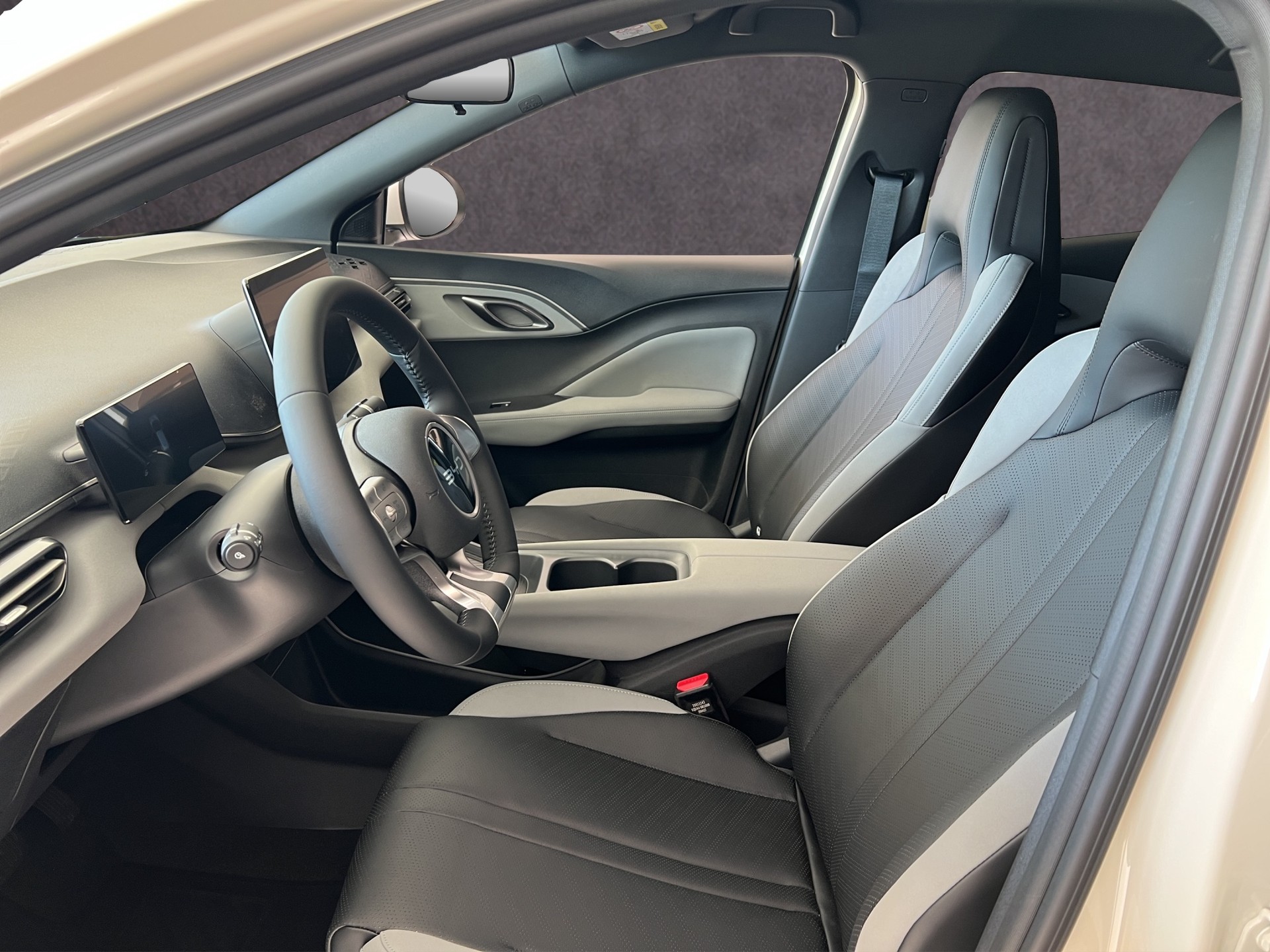 BYD Dolphin Surf Comfort-image-11
