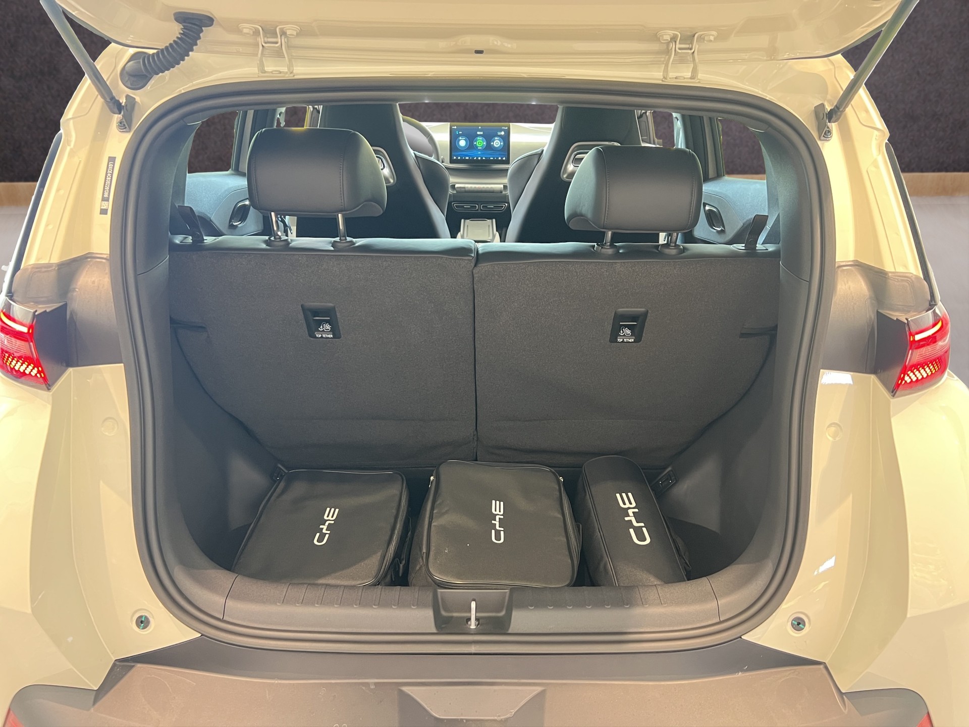 BYD Dolphin Surf Comfort-image-9