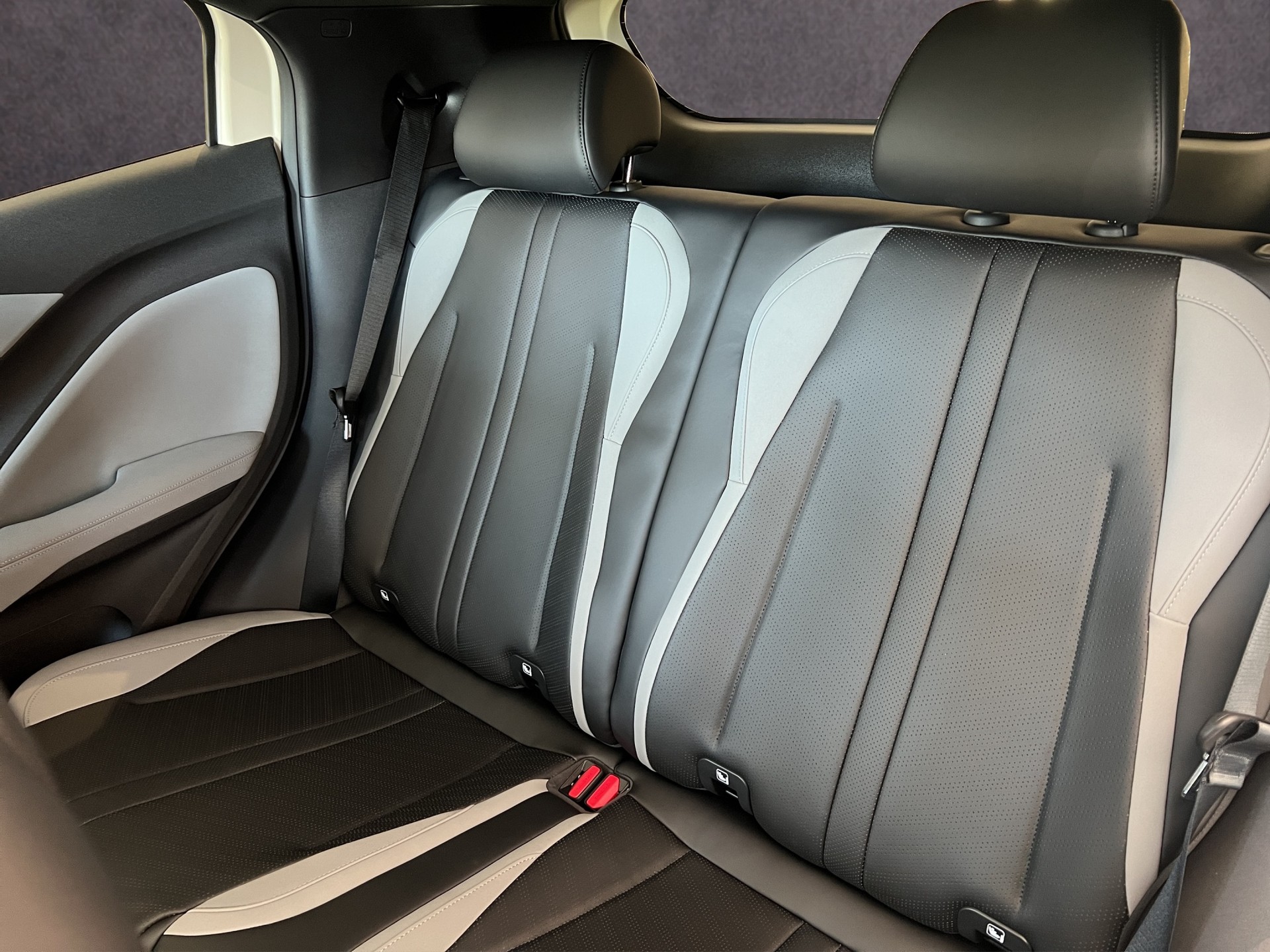BYD Dolphin Surf Comfort-image-16