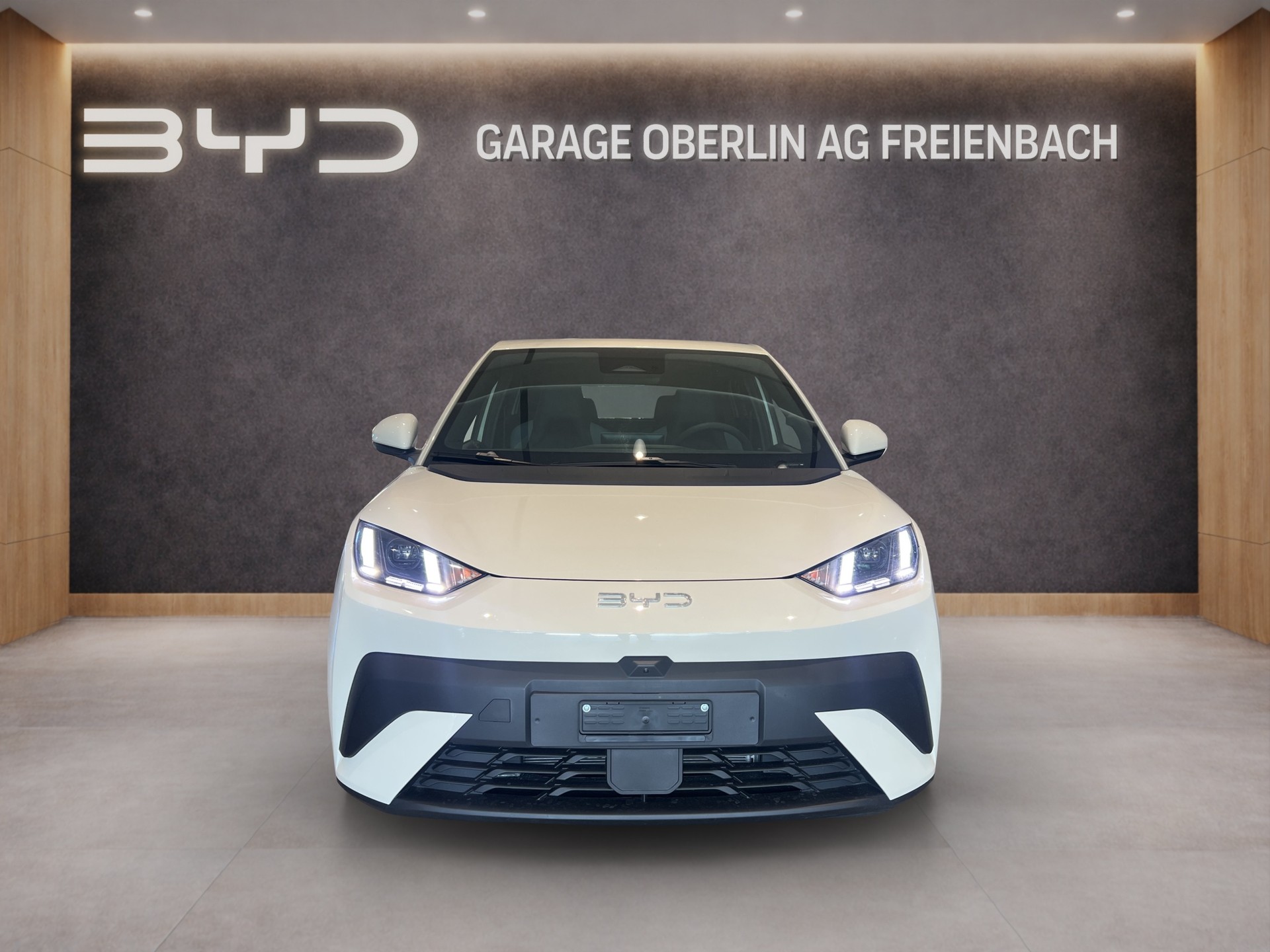 BYD Dolphin Surf Comfort-image-7