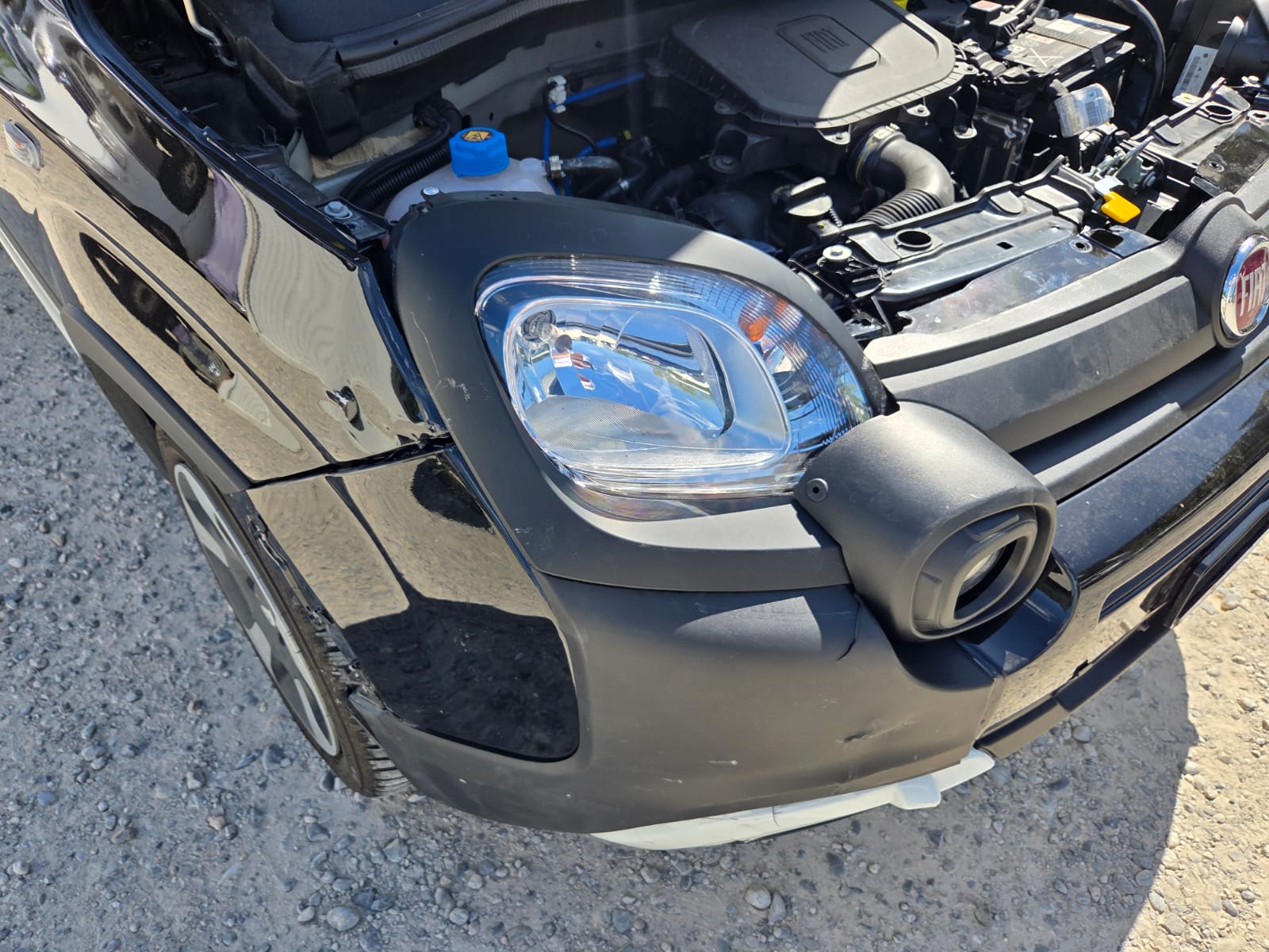 FIAT Panda 1.0 MHEV Cult-image-6