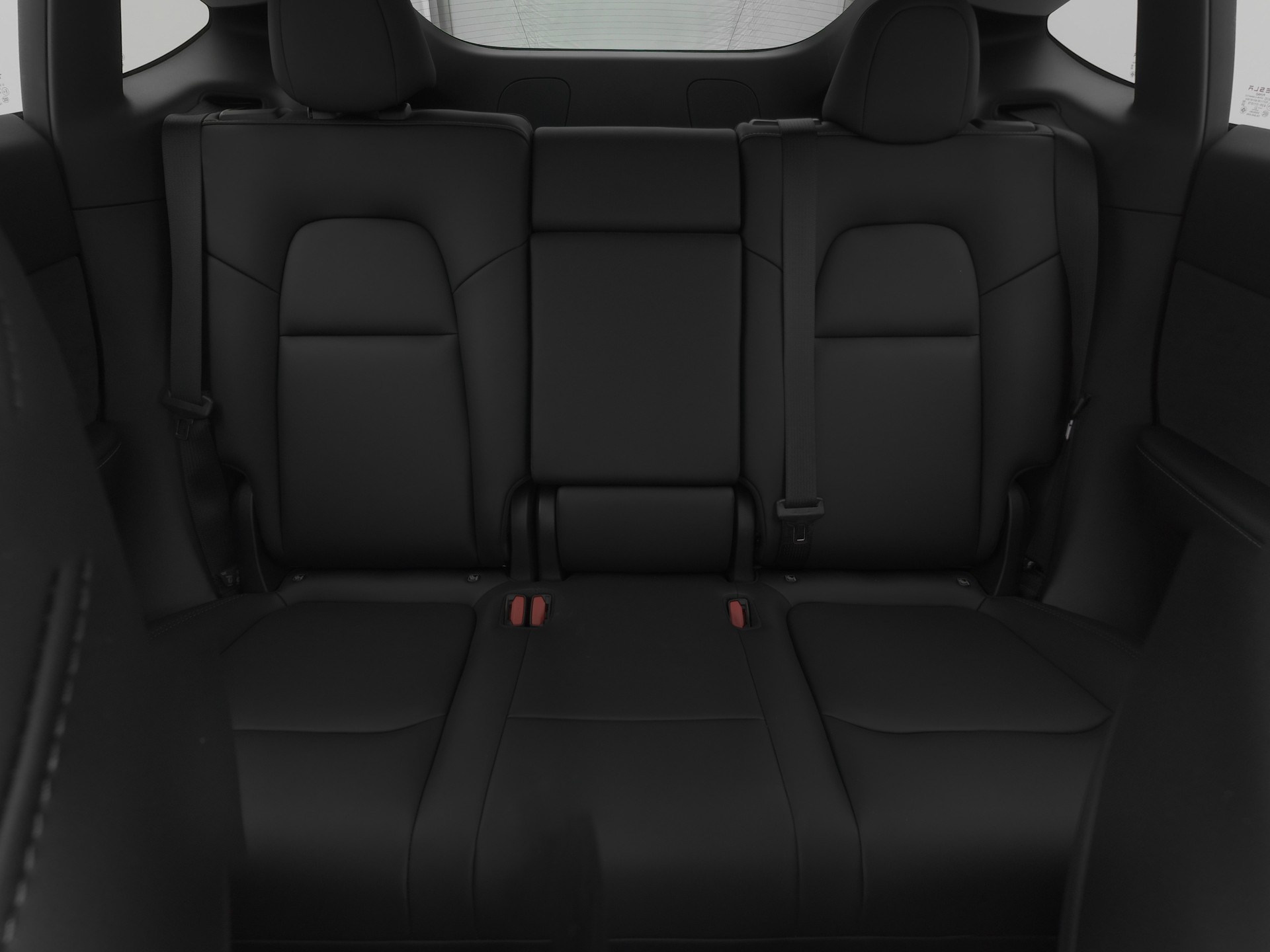 TESLA Model Y RWD-image-10