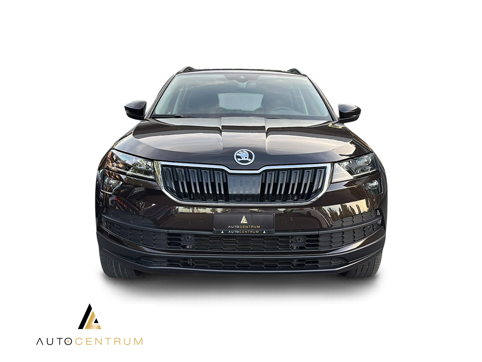 SKODA Karoq 1.5 TSI ACT Ambition DSG-image-5