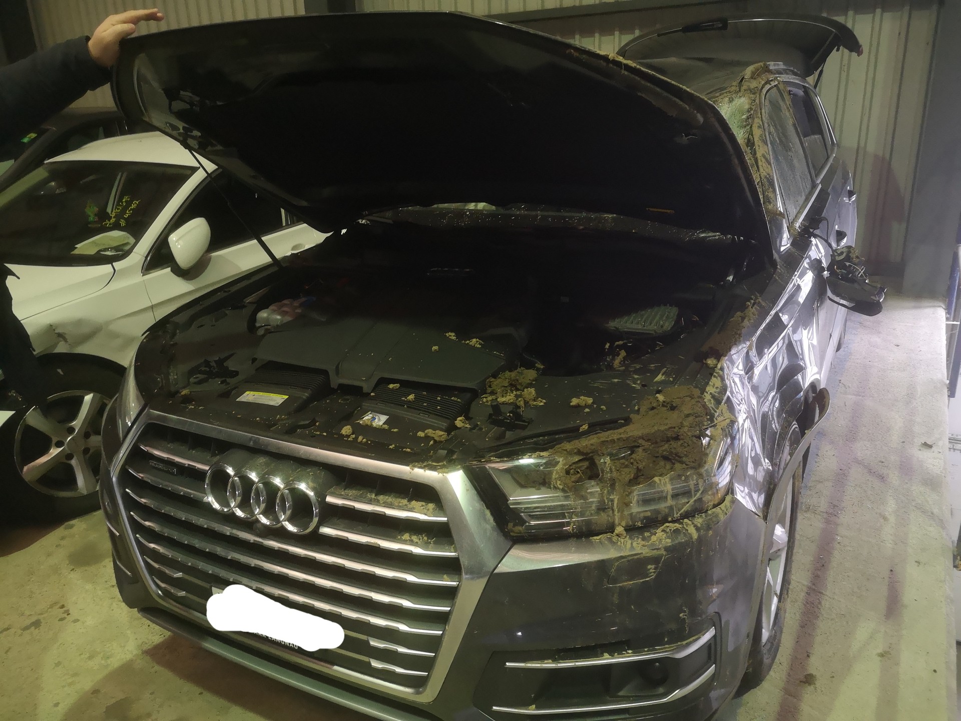 AUDI 3.0 V6 TDI 272 quattro T-Tronic-image-0