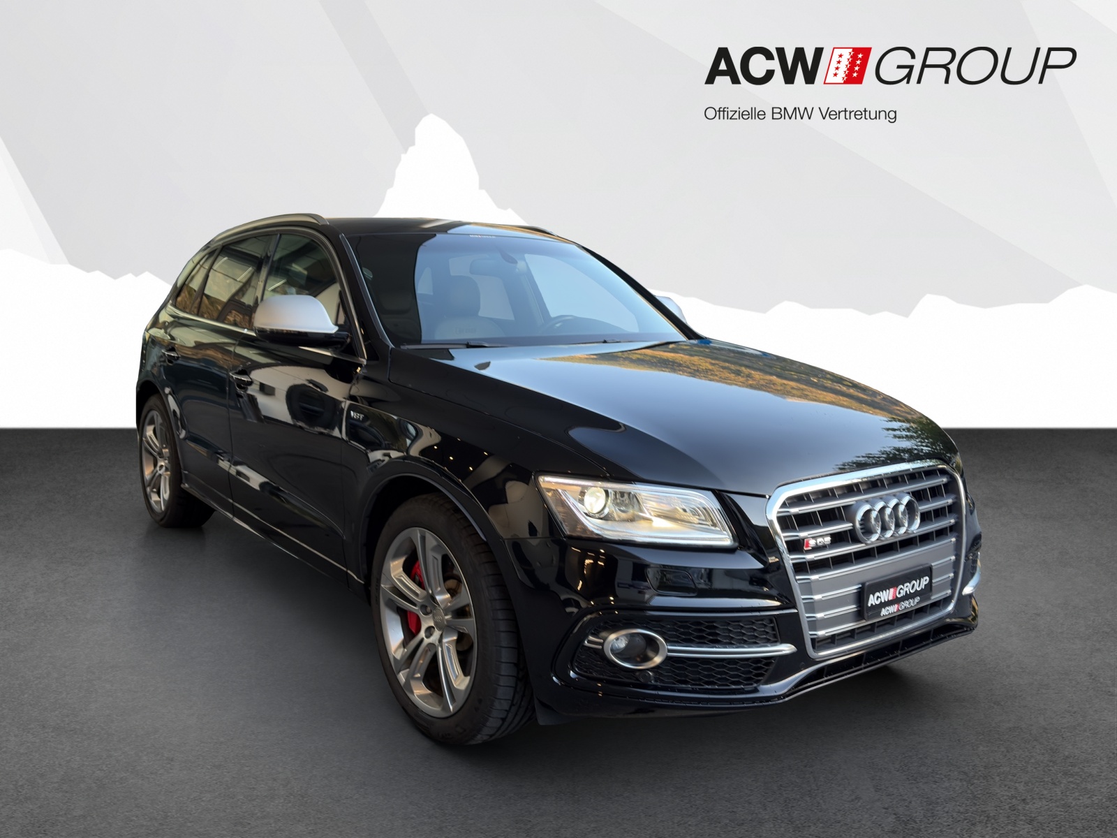 AUDI SQ5 3.0 V6 Bi-TDI quattro T-Tronic-image-6
