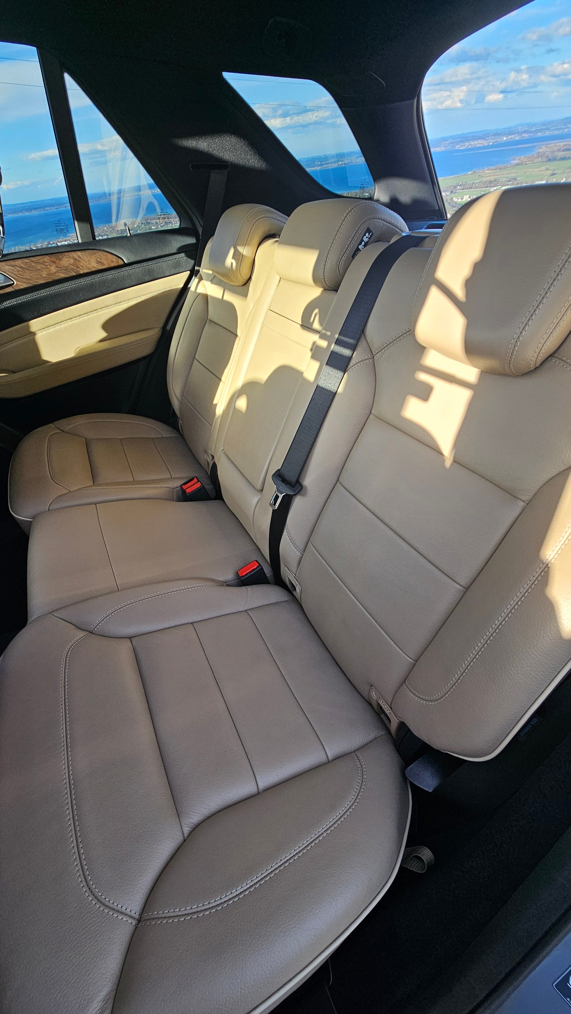 MERCEDES-BENZ ML 350 BlueTEC 4Matic 7G-Tronic-image-8