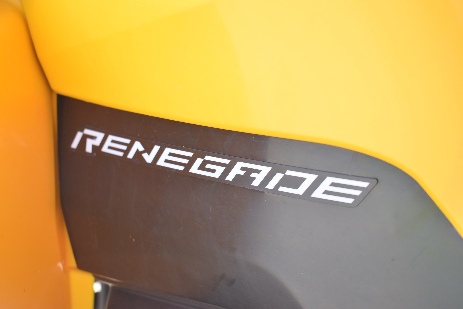CAN-AM Renegade 800 4x4-image-10