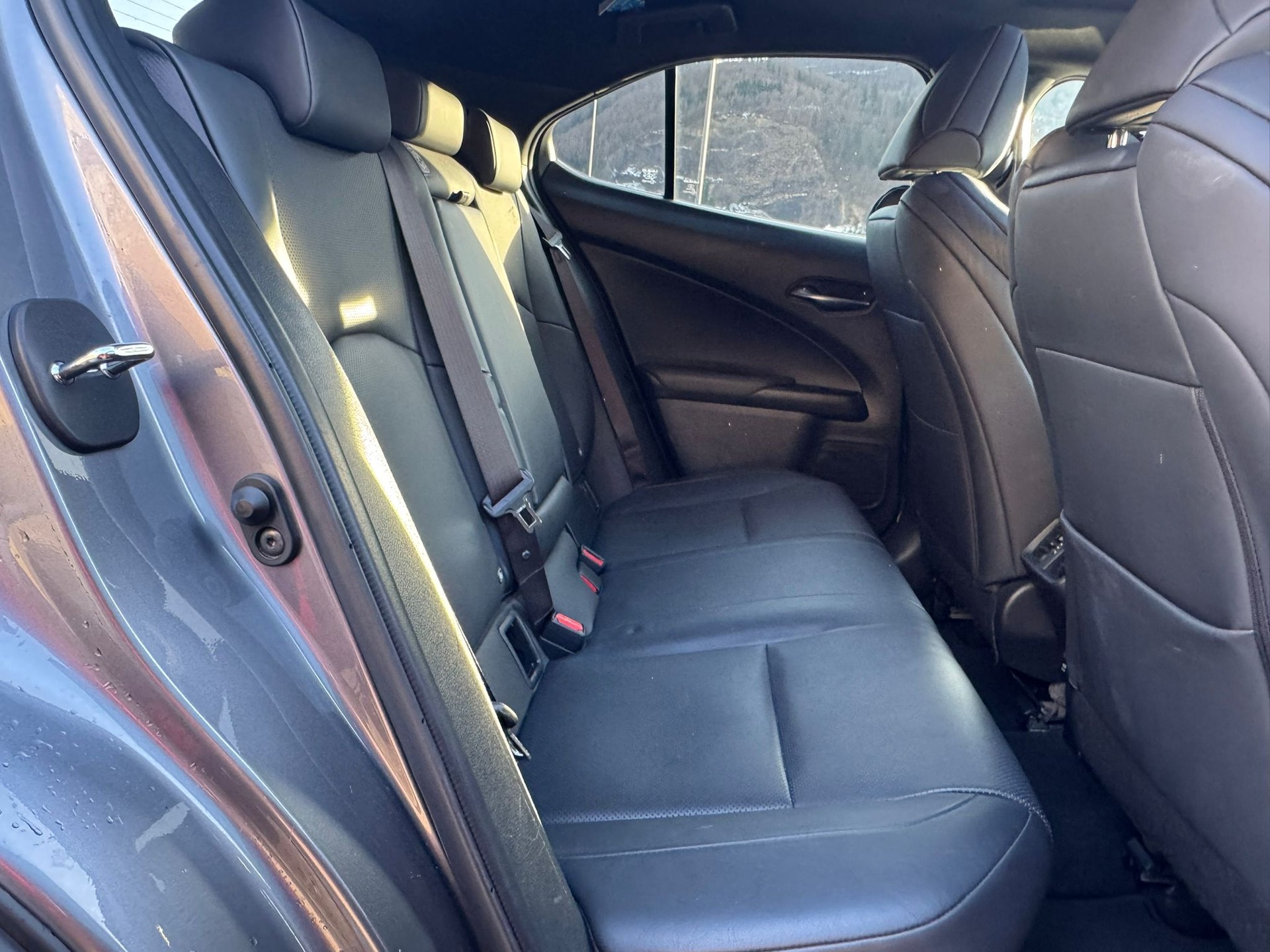 LEXUS UX 250h F Sport AWD Automatic-image-9