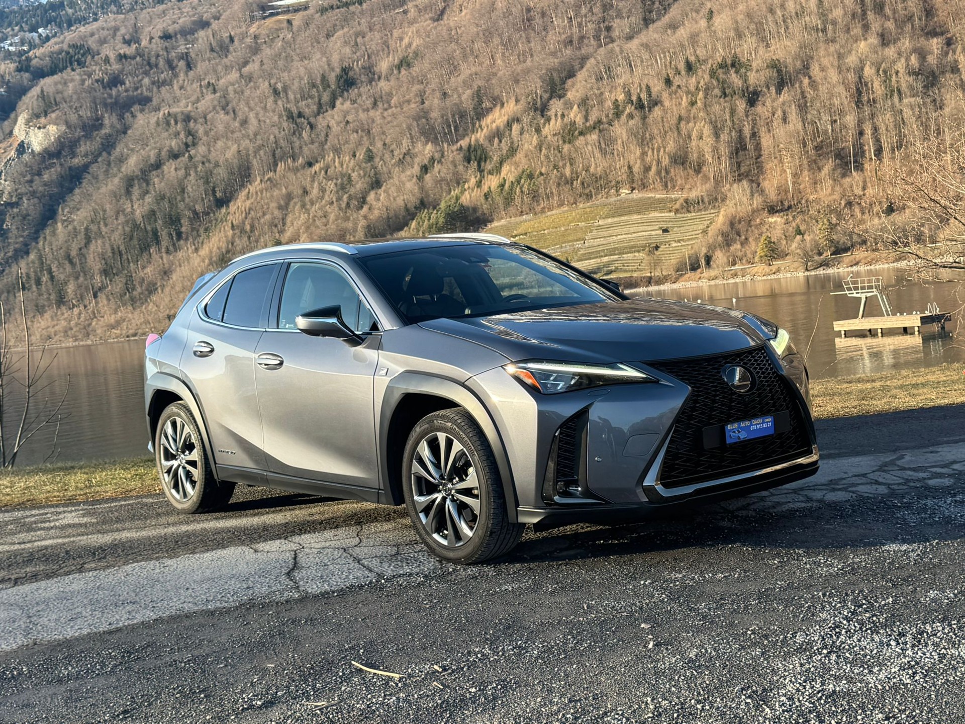 LEXUS UX 250h F Sport AWD Automatic-image-3