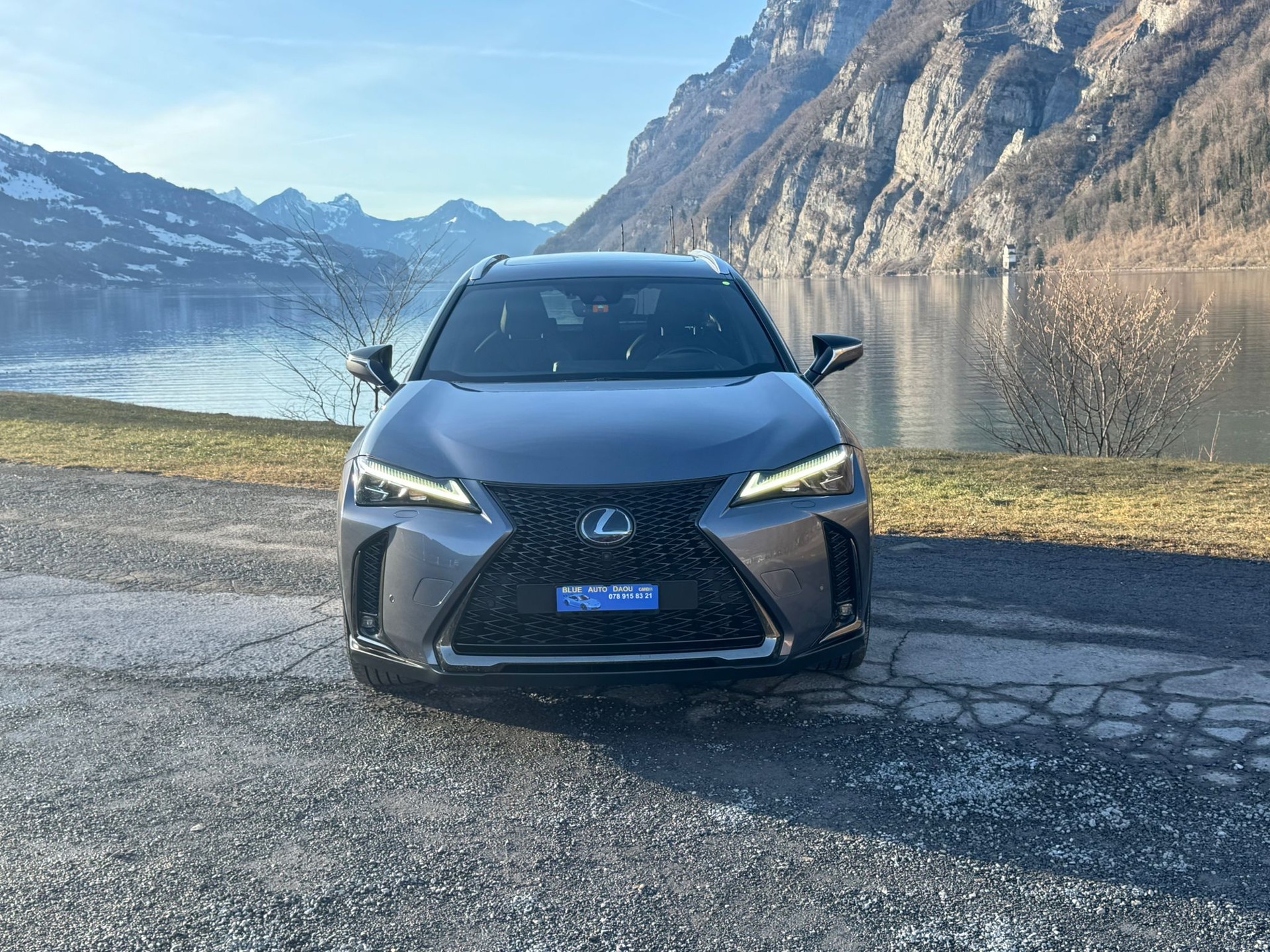 LEXUS UX 250h F Sport AWD Automatic-image-1