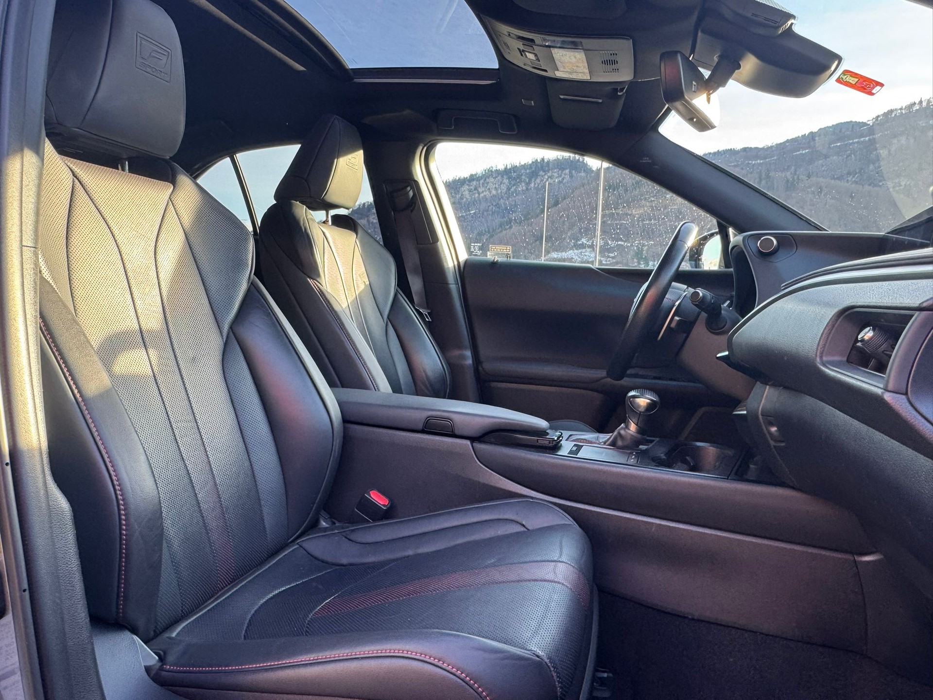 LEXUS UX 250h F Sport AWD Automatic-image-10