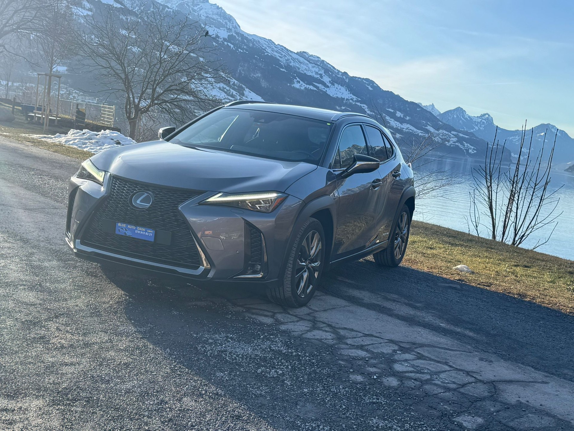LEXUS UX 250h F Sport AWD Automatic-image-2
