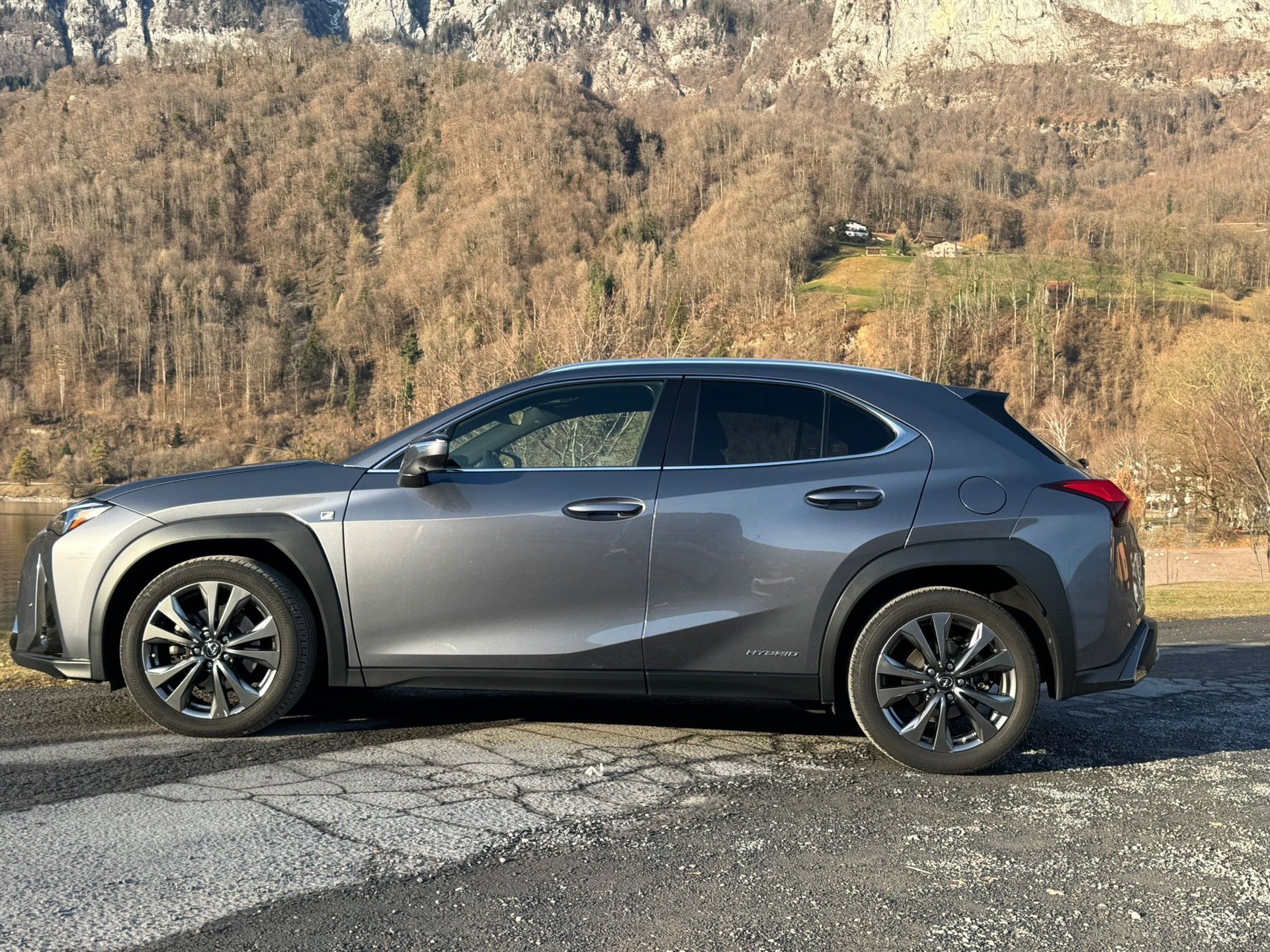 LEXUS UX 250h F Sport AWD Automatic-image-5