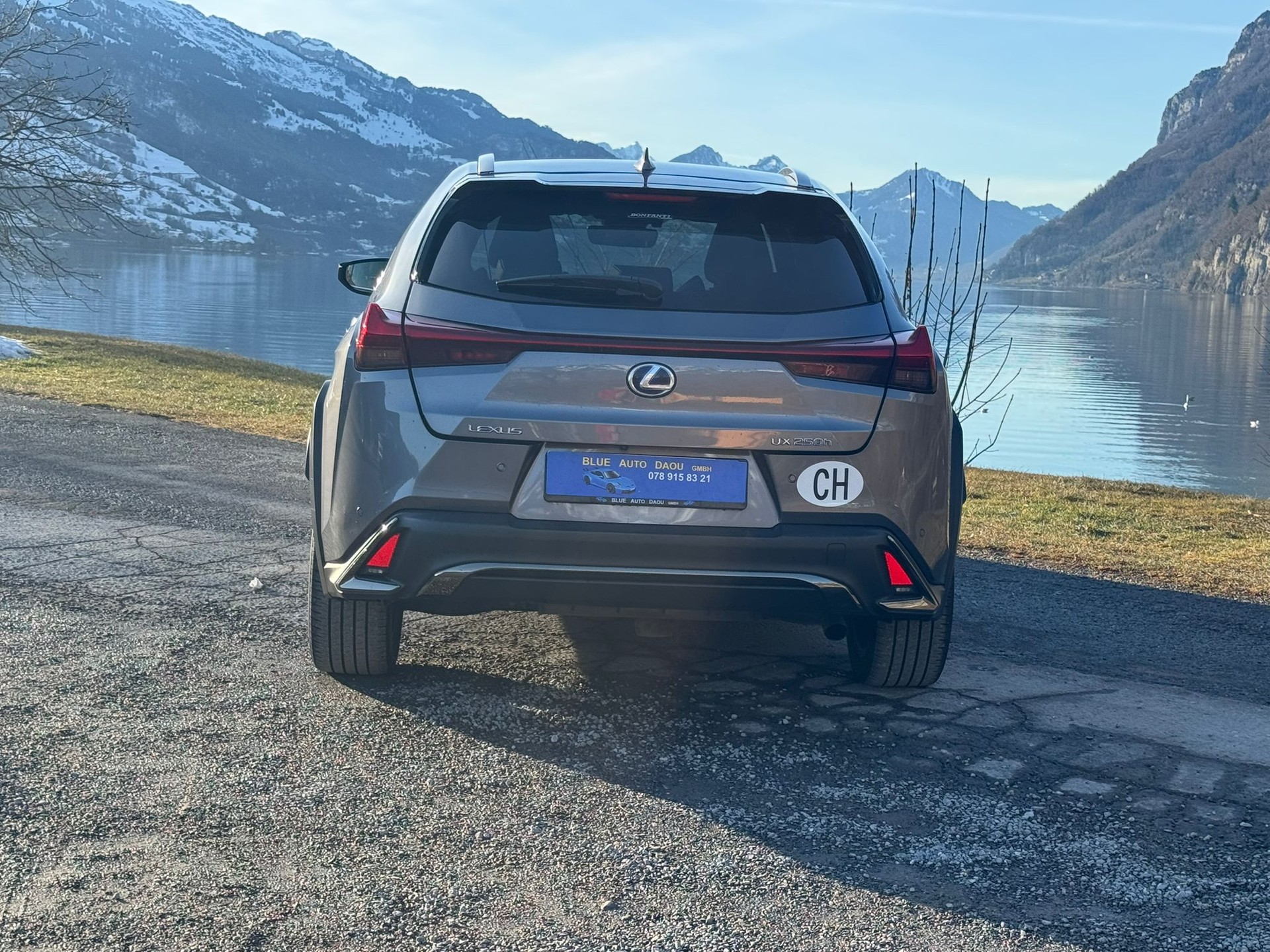LEXUS UX 250h F Sport AWD Automatic-image-7