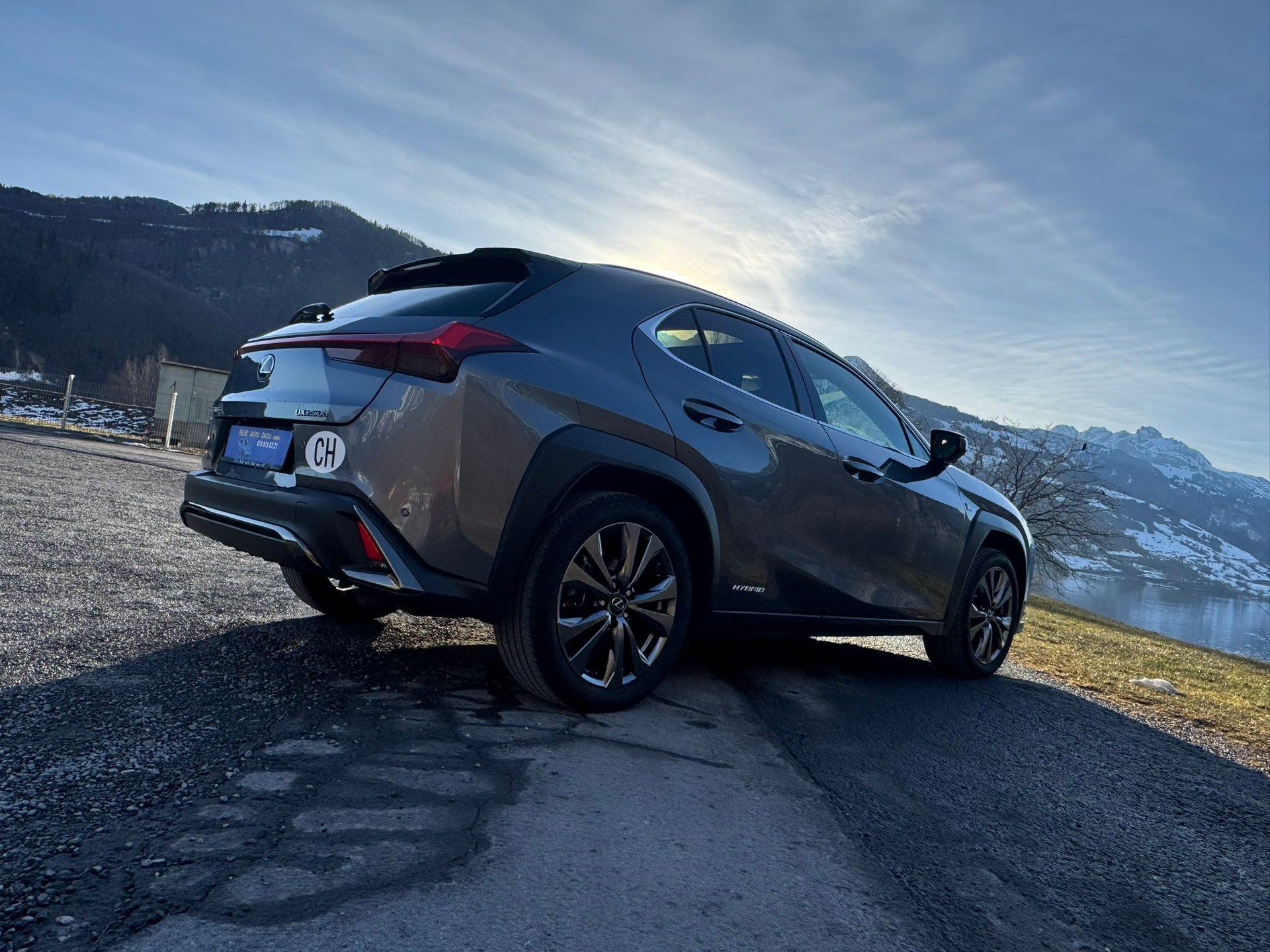 LEXUS UX 250h F Sport AWD Automatic-image-6