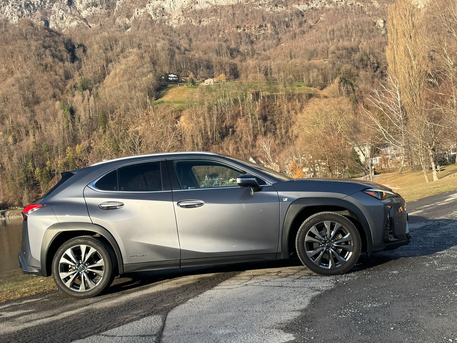 LEXUS UX 250h F Sport AWD Automatic-image-4