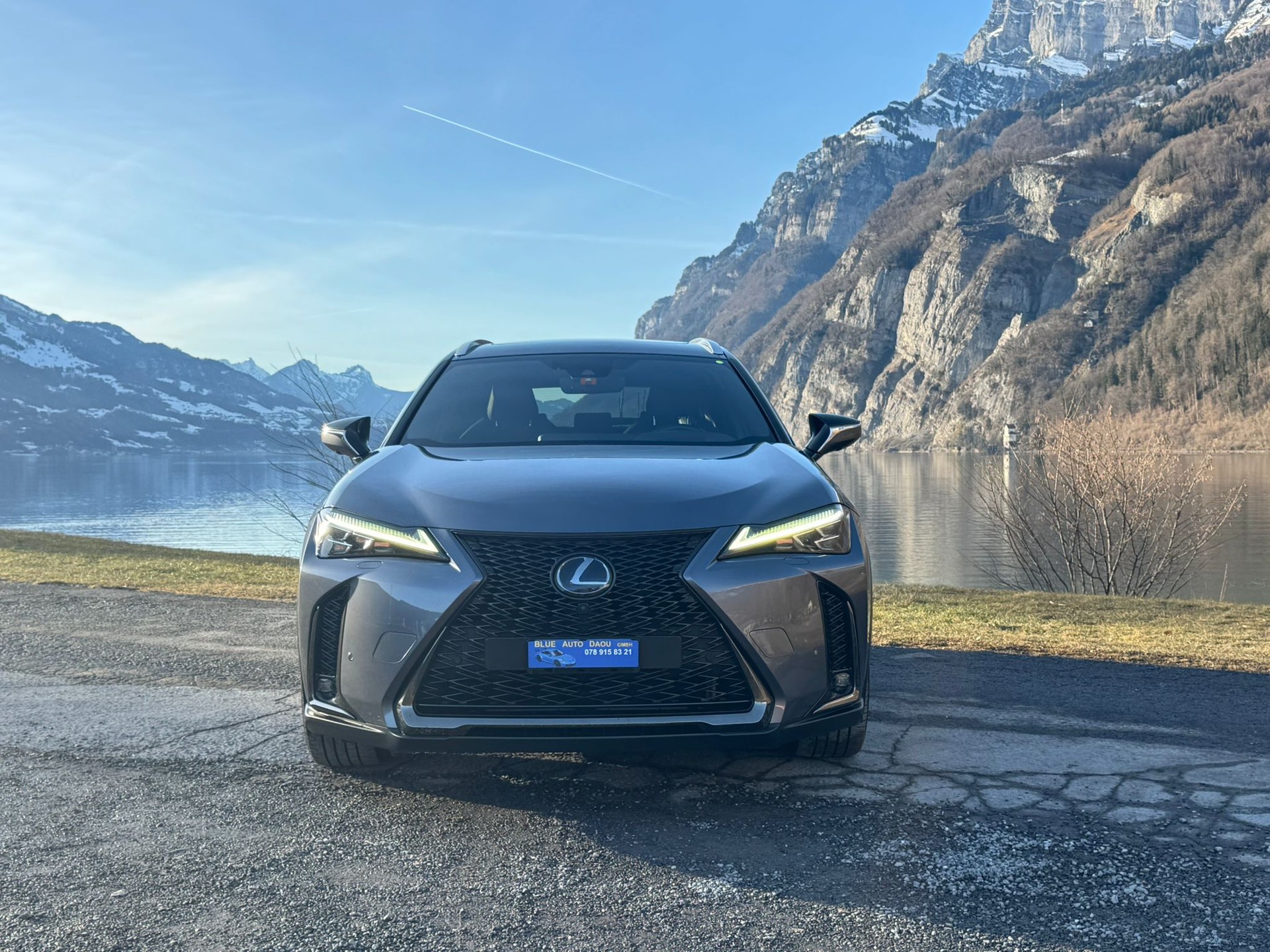 LEXUS UX 250h F Sport AWD Automatic-image-0