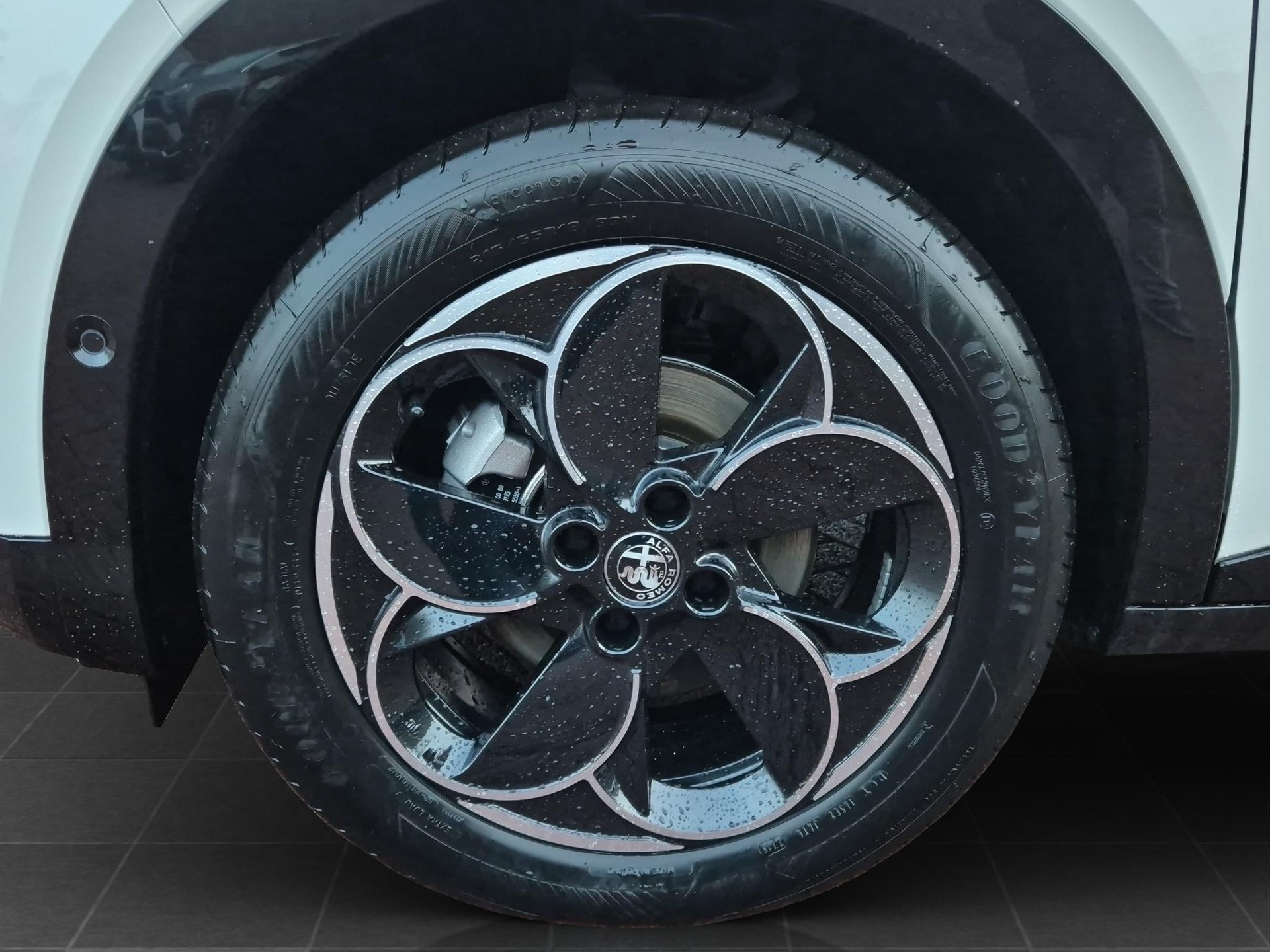 ALFA ROMEO Junior 1.2 Ibrida Q4-image-14