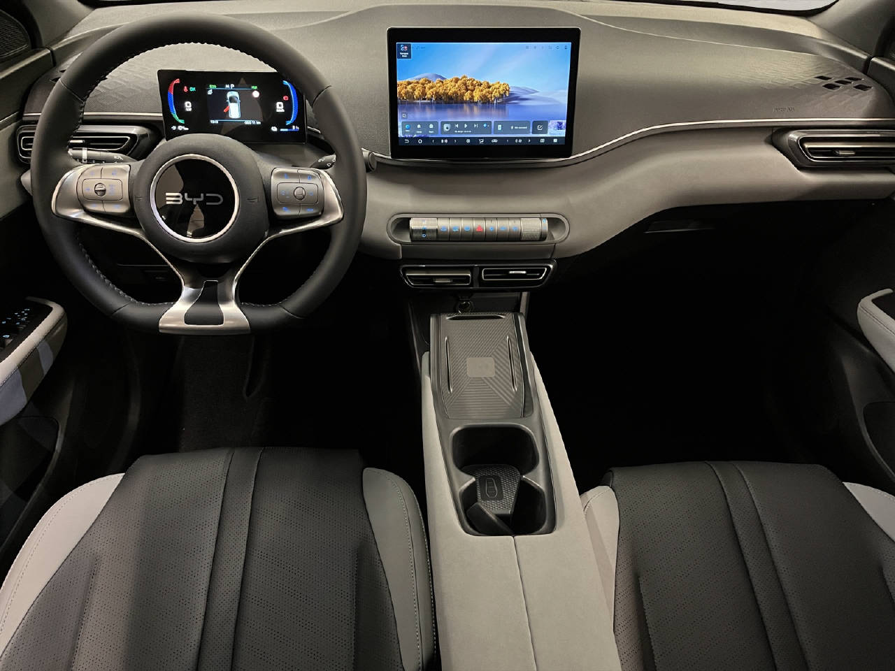 BYD Dolphin Surf Comfort CH FAHRZEUG-image-5