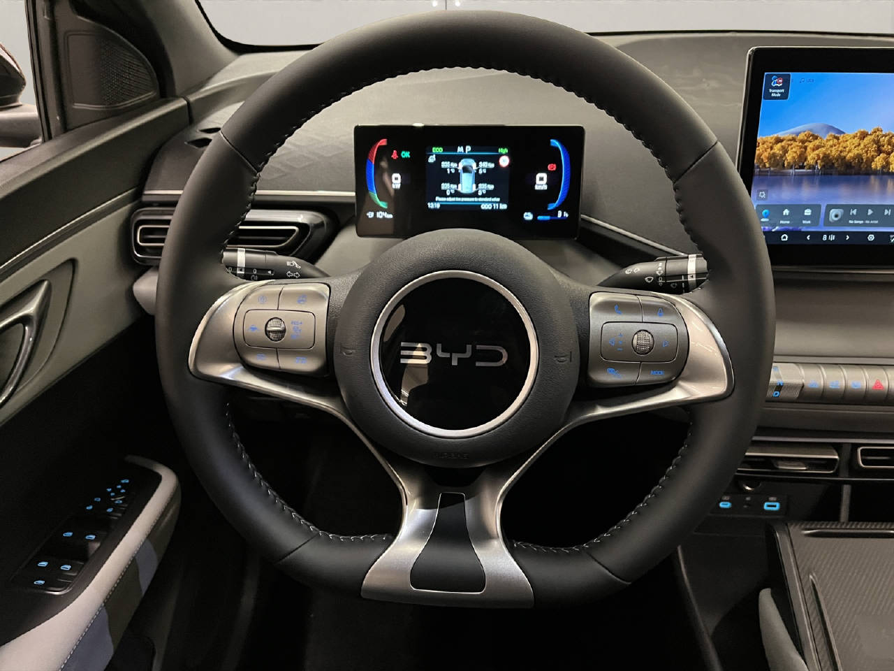 BYD Dolphin Surf Comfort CH FAHRZEUG-image-6