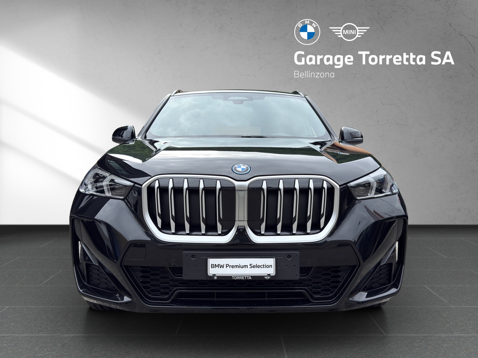 BMW X1 xDrive 30e M Sport-image-8