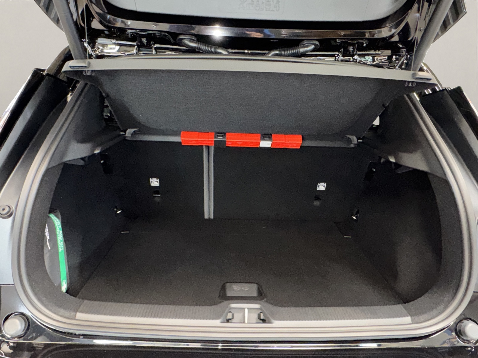 VOLVO EX30 E60 Plus Swiss Black Edition-image-14