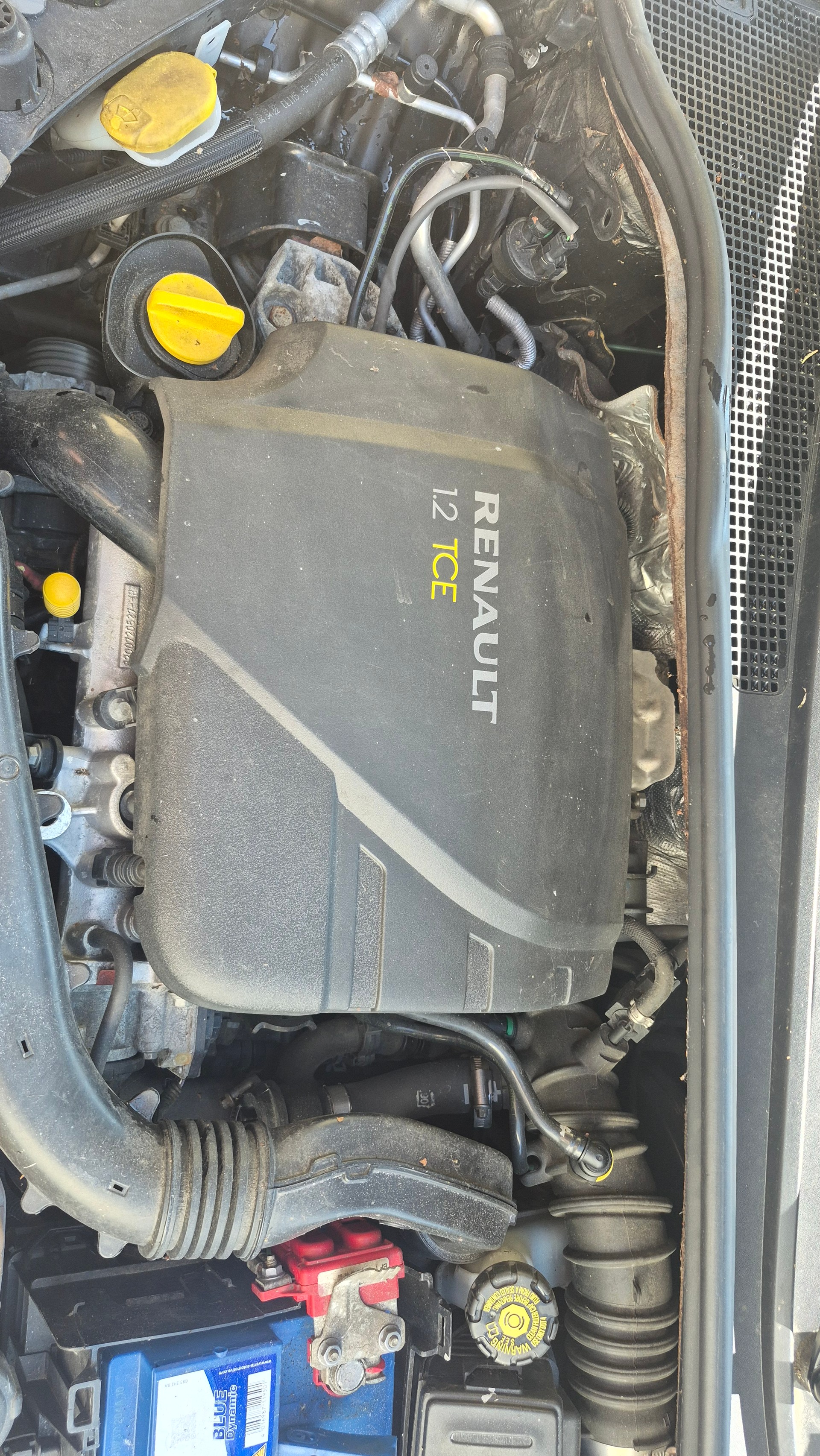 RENAULT Scénic 1.5 dCi Expression EDC-image-10