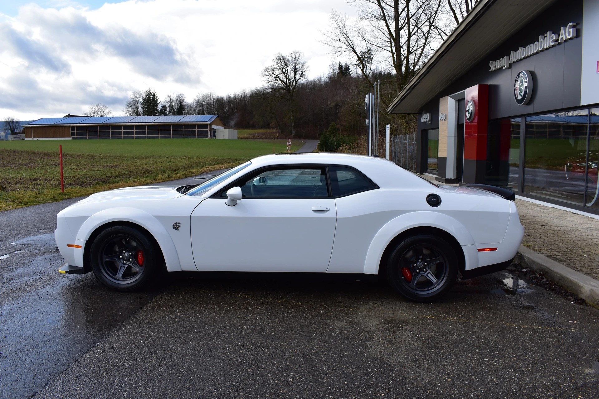 DODGE Challenger Super Stock/ Redeye-image-3