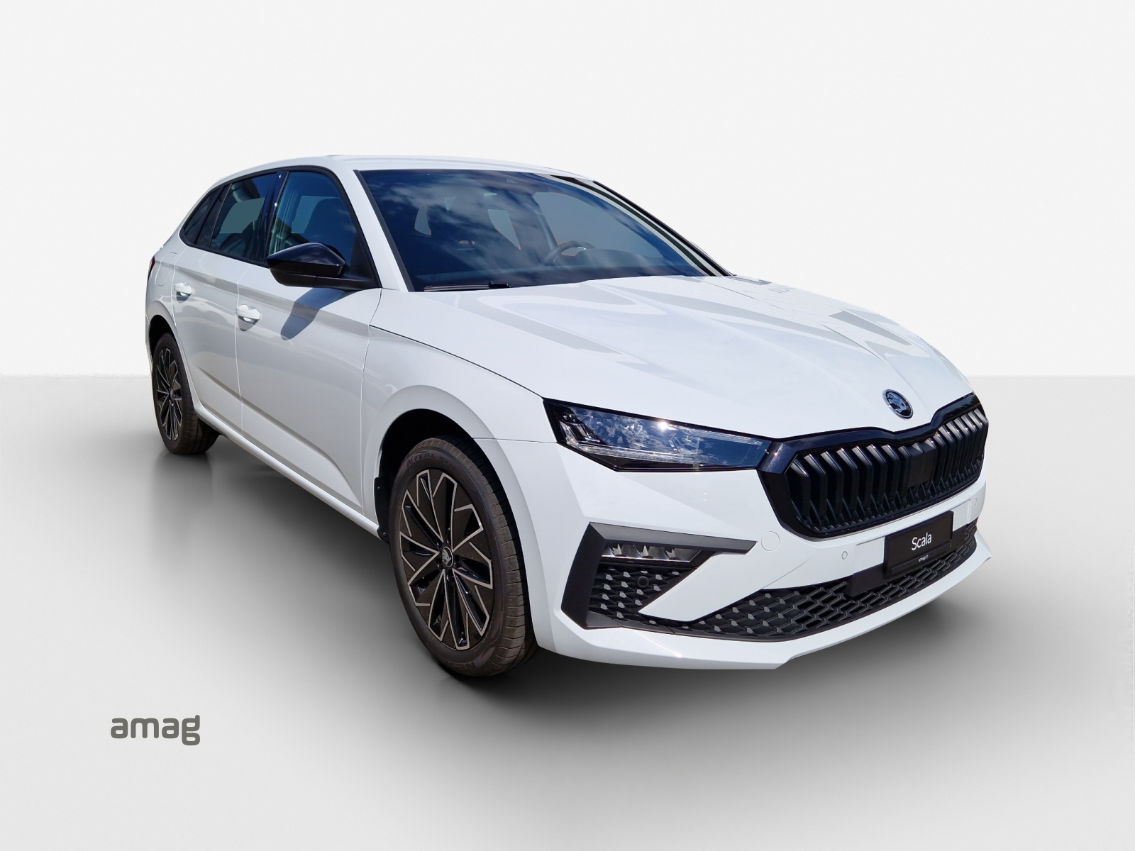 SKODA Scala 1.0 TSI Dynamic DSG-image-5